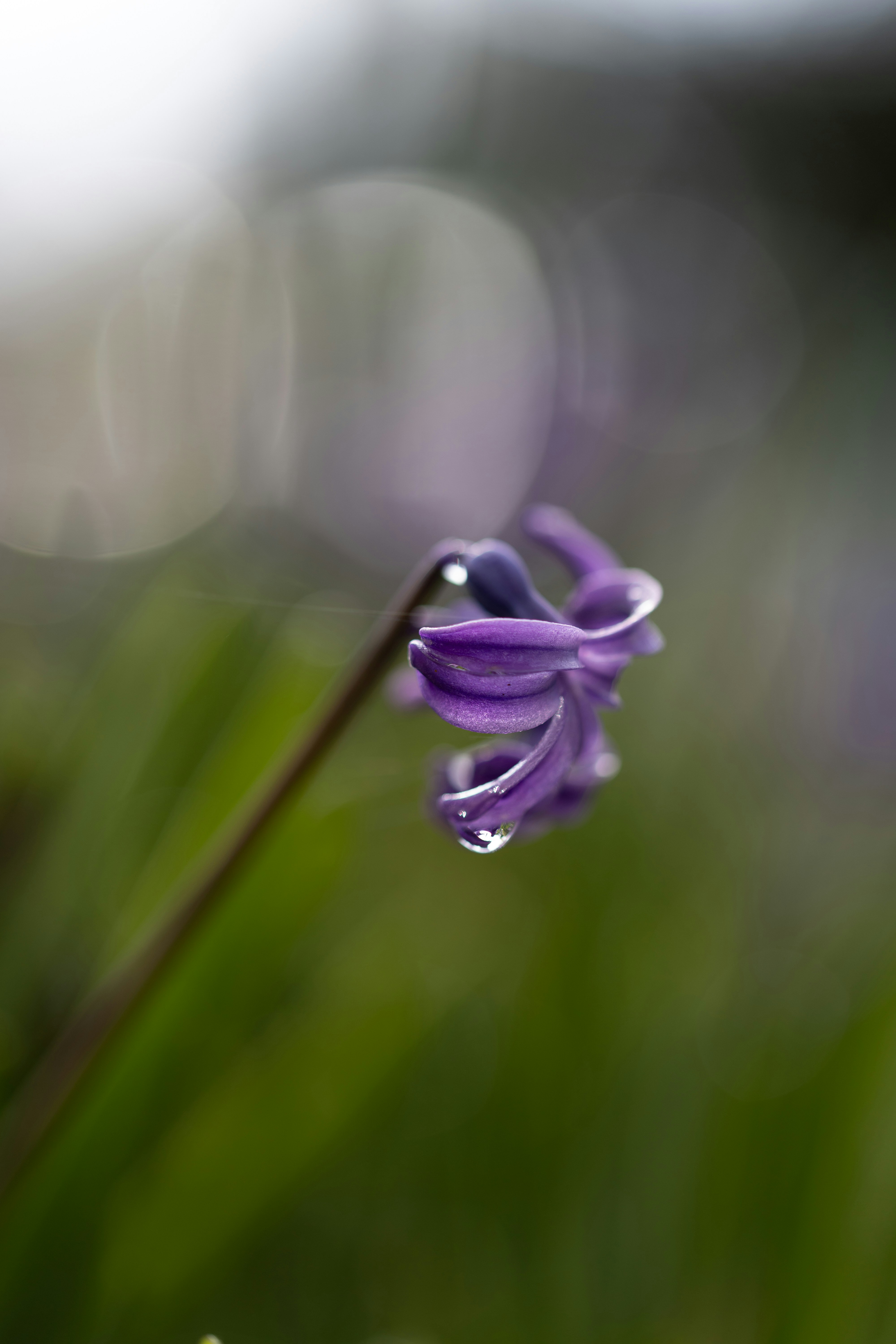 Photo by kamekichi_photos