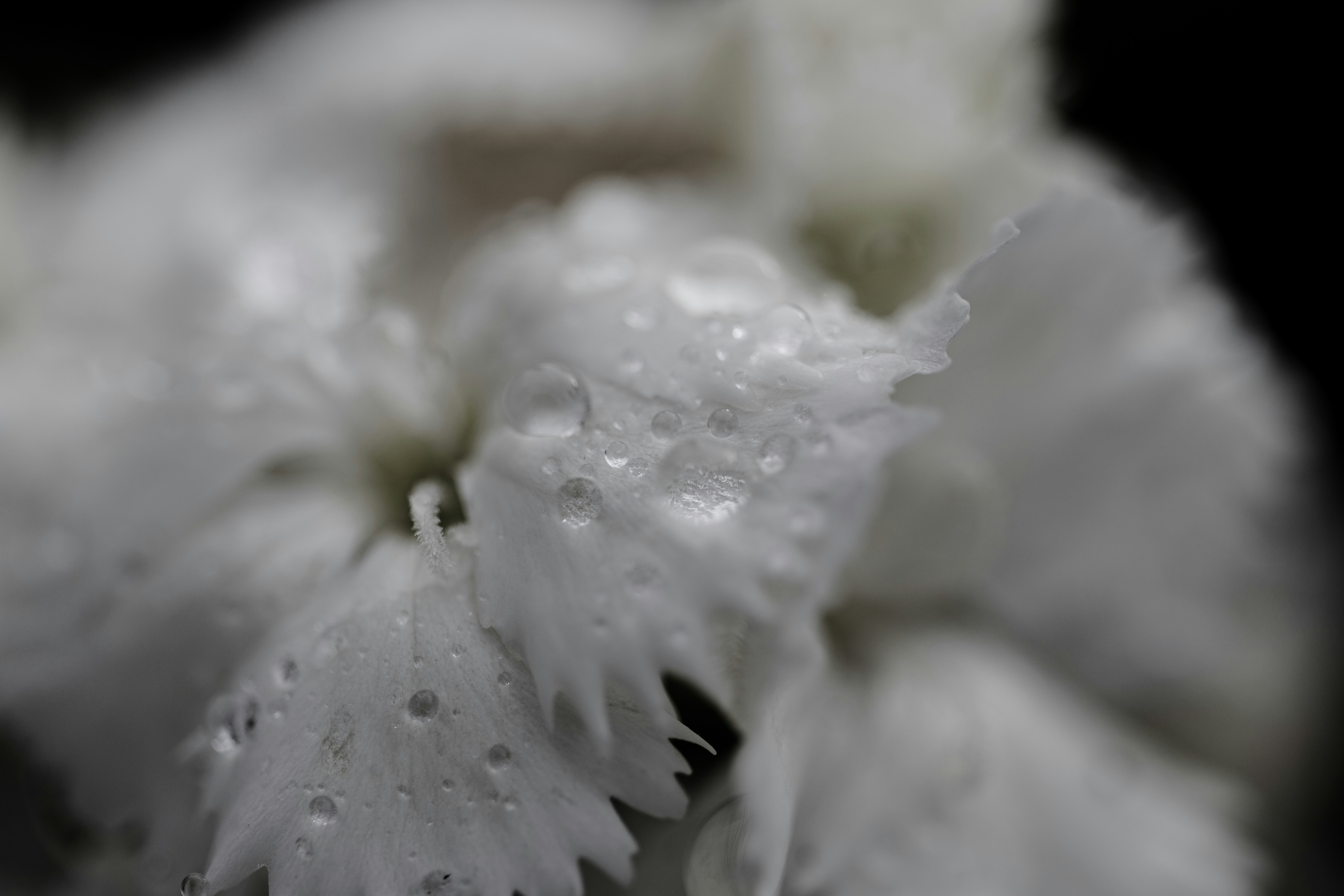 Photo by kamekichi_photos