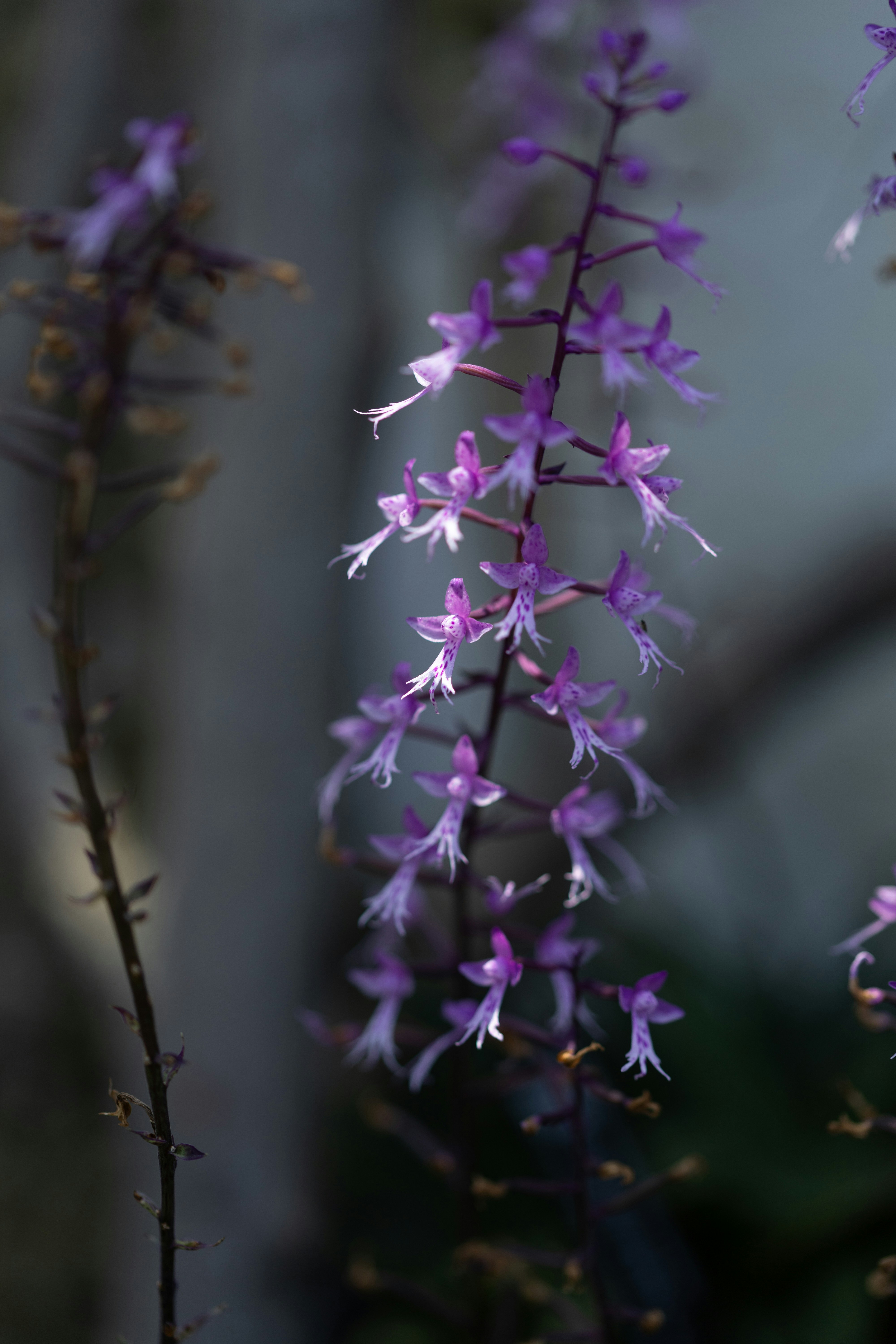 Photo by kamekichi_photos