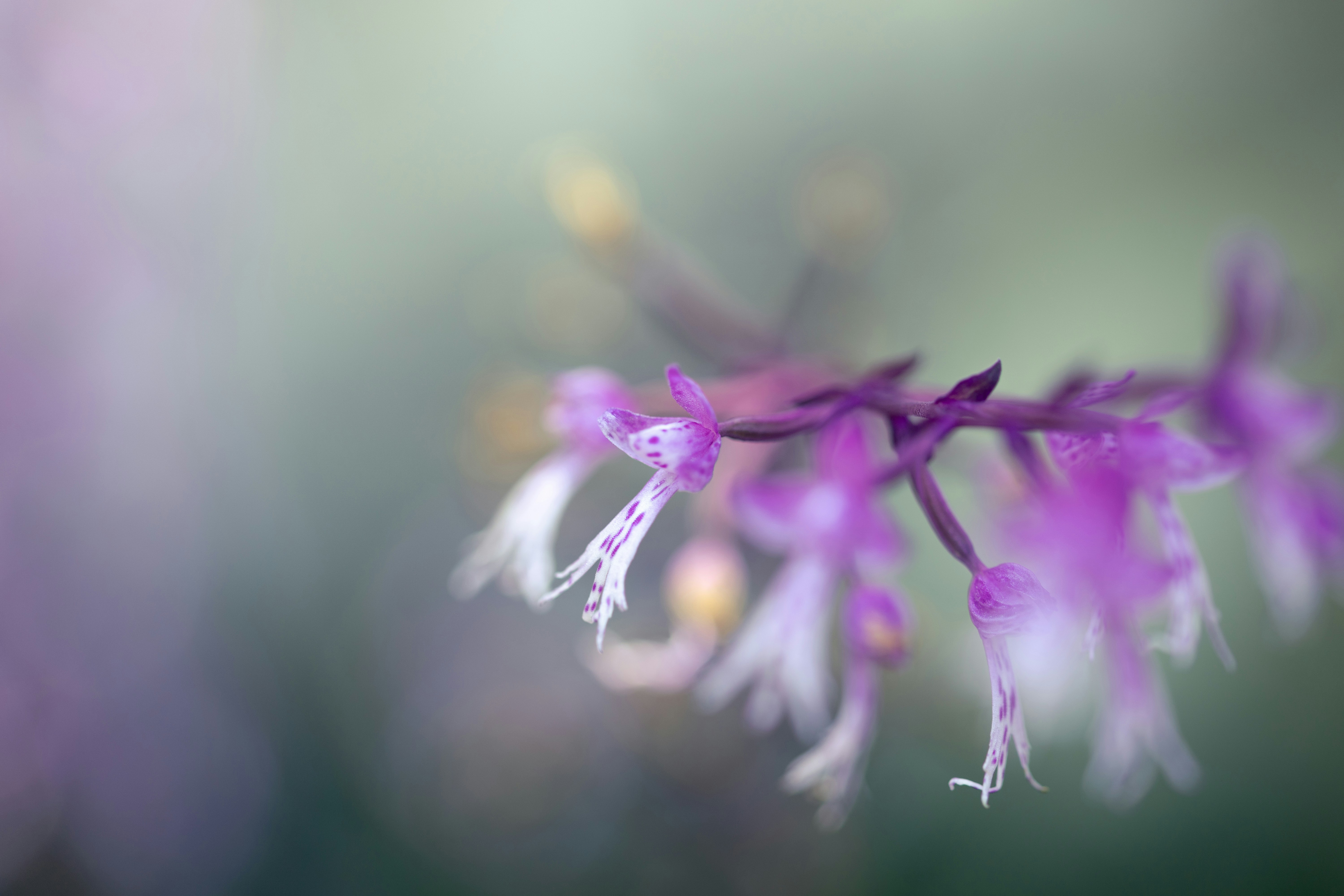 Photo by kamekichi_photos