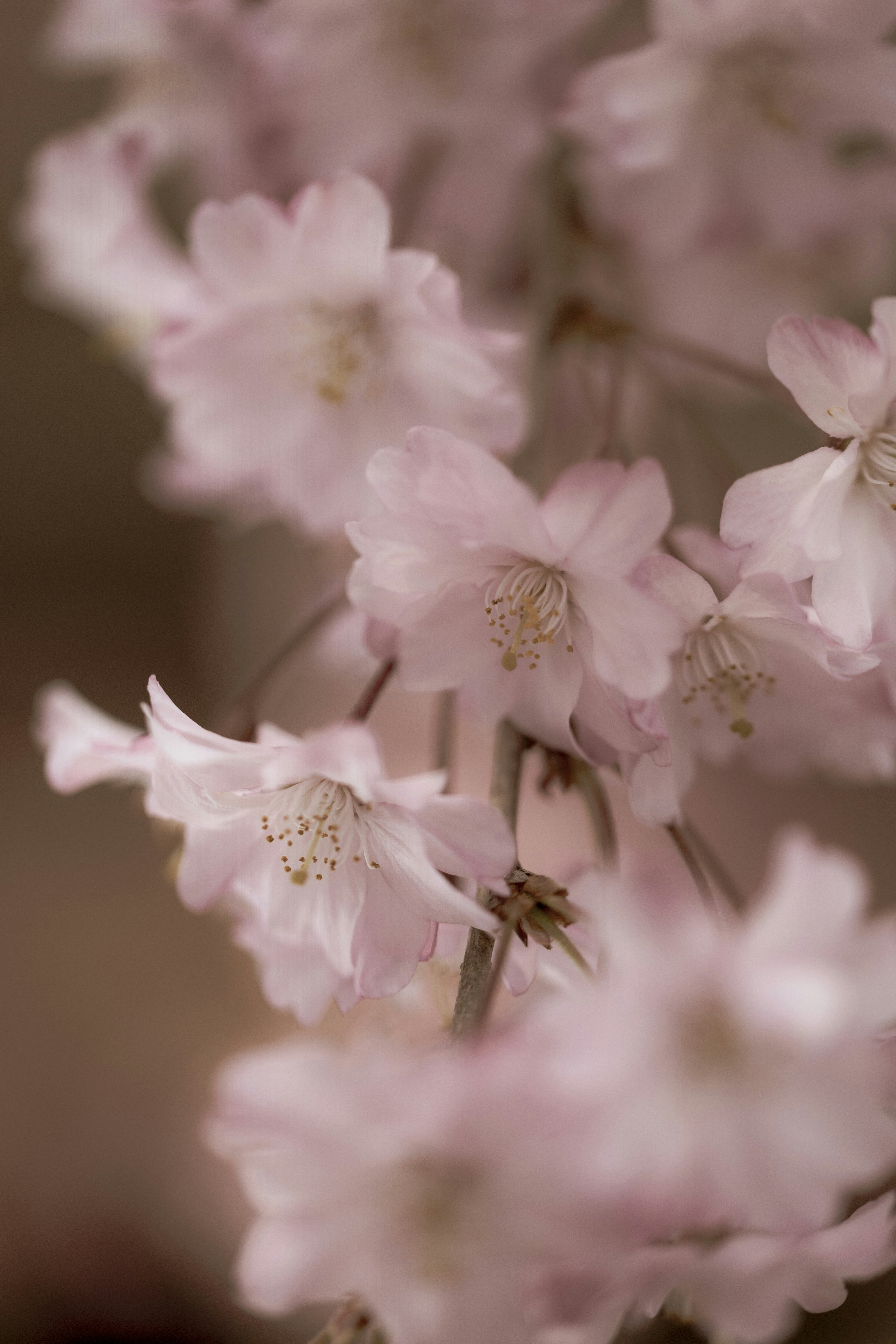 Photo by kamekichi_photos