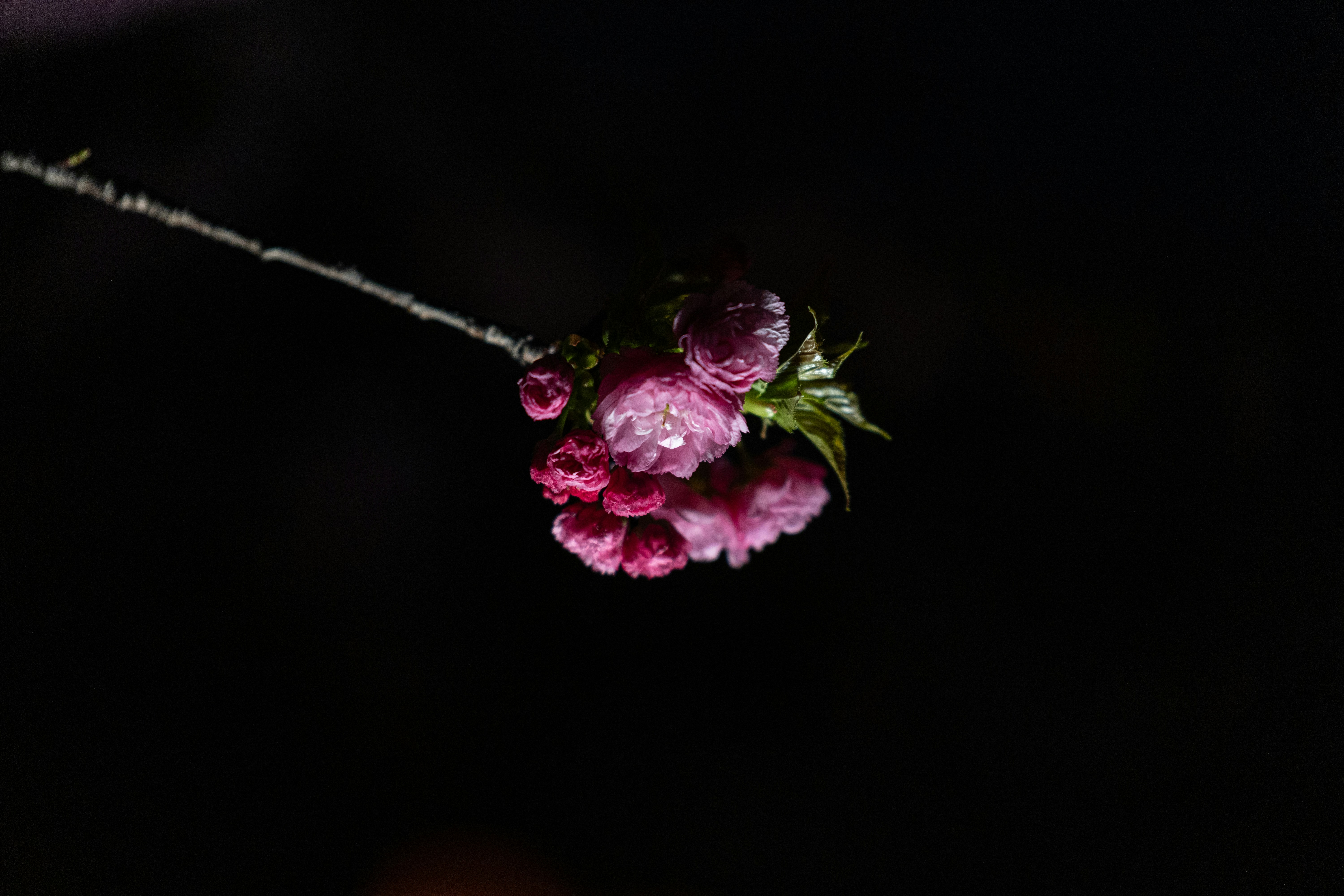 Photo by kamekichi_photos