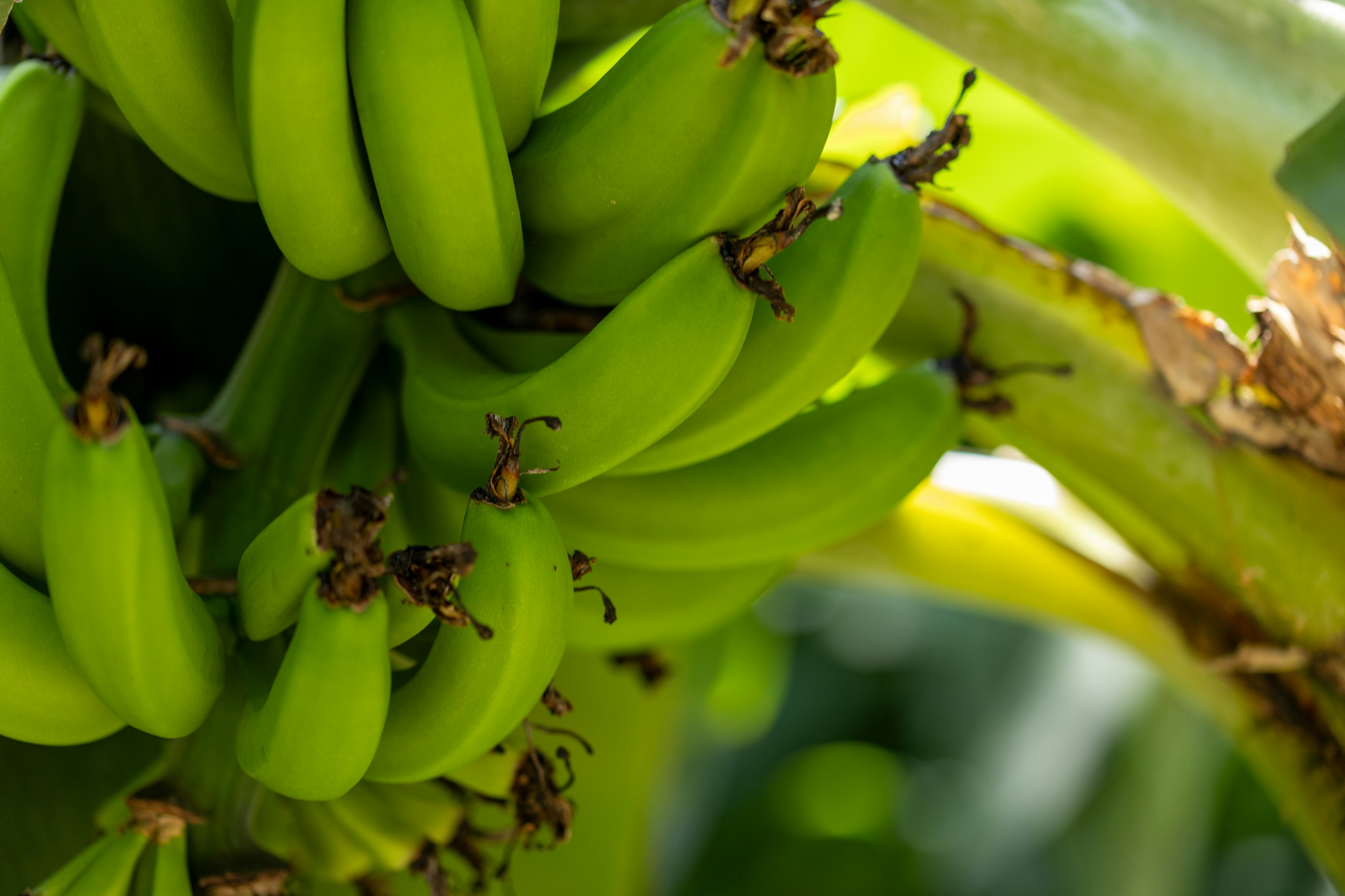 Photo by kamekichi_photos