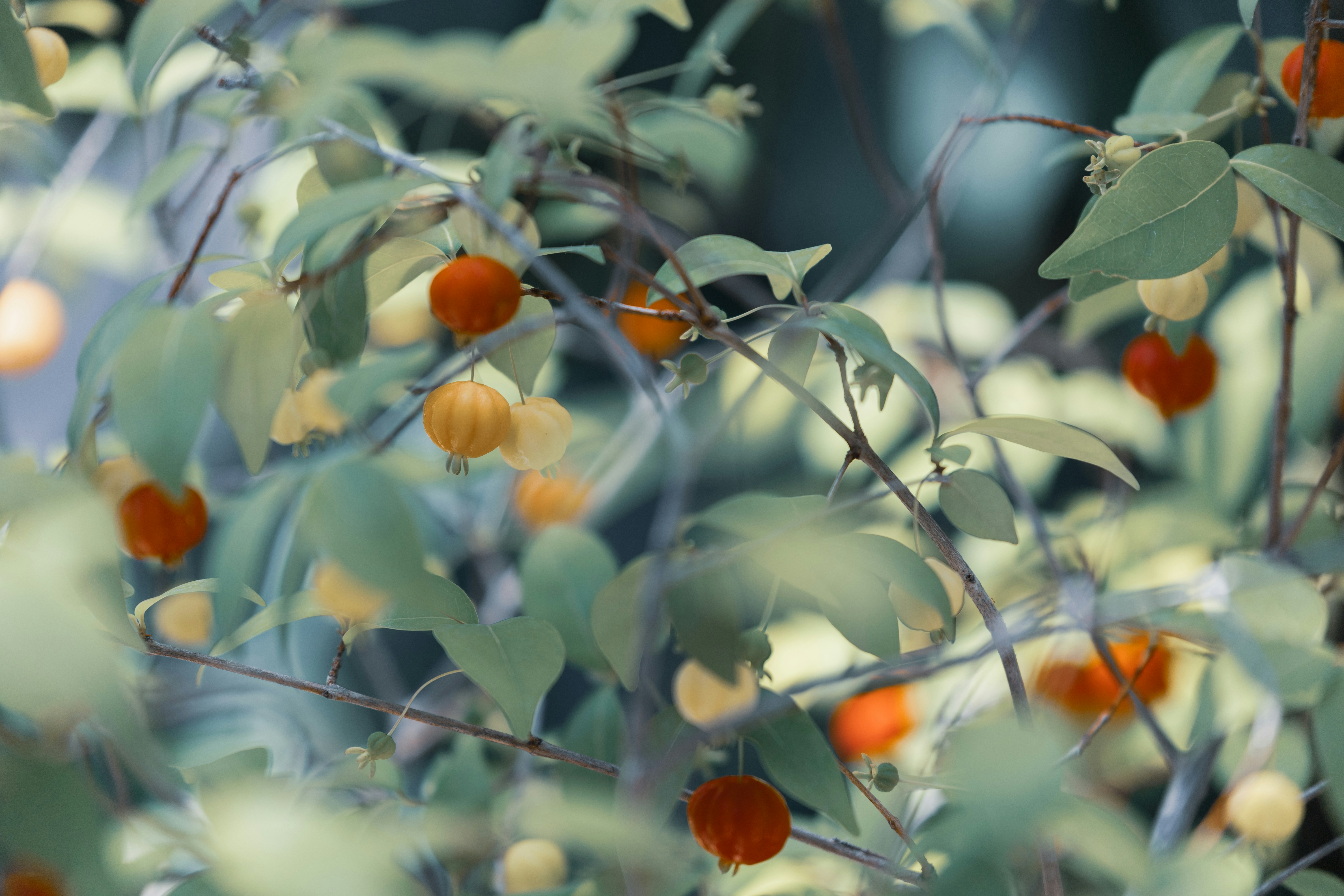 Photo by kamekichi_photos