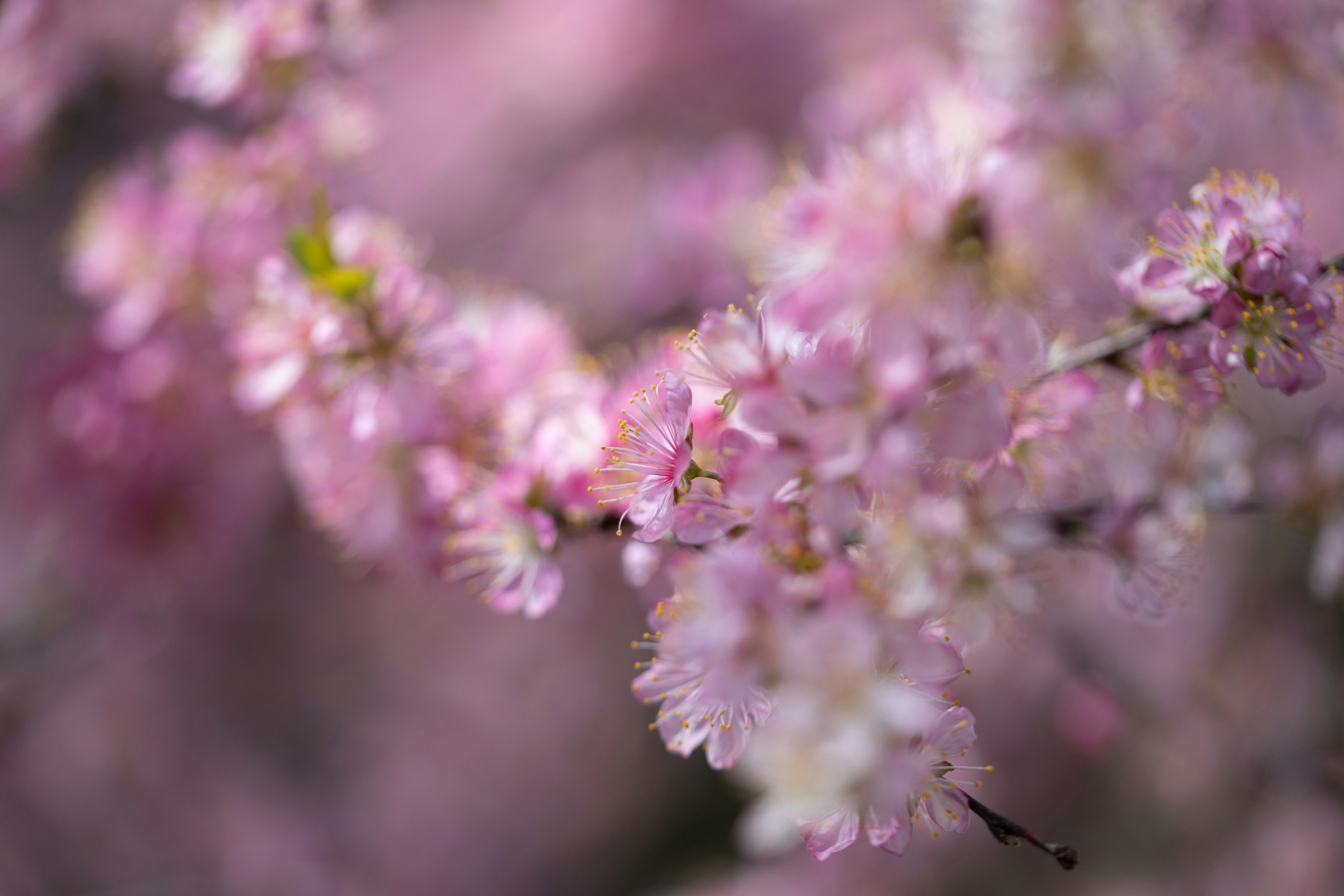 Photo by kamekichi_photos