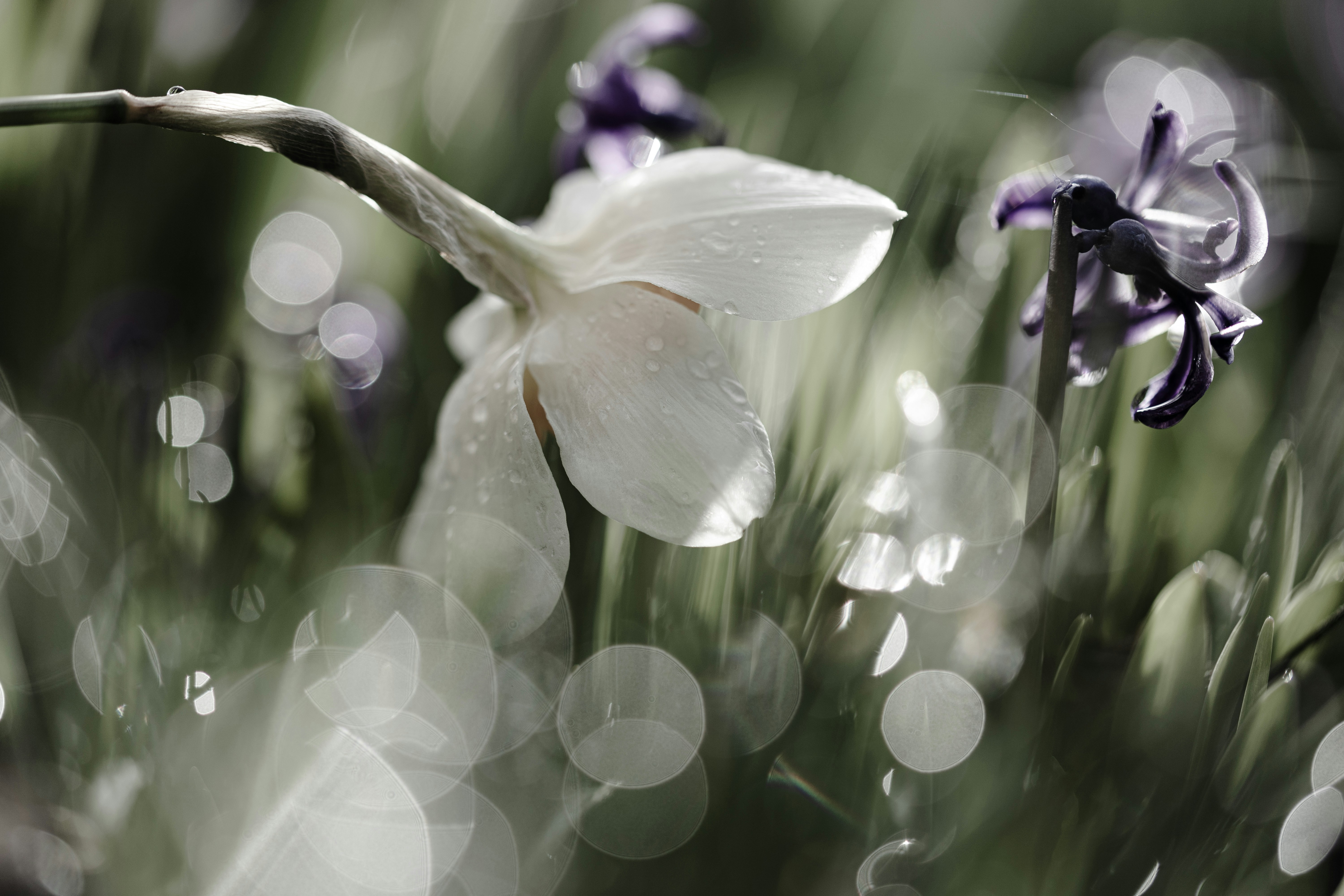 Photo by kamekichi_photos