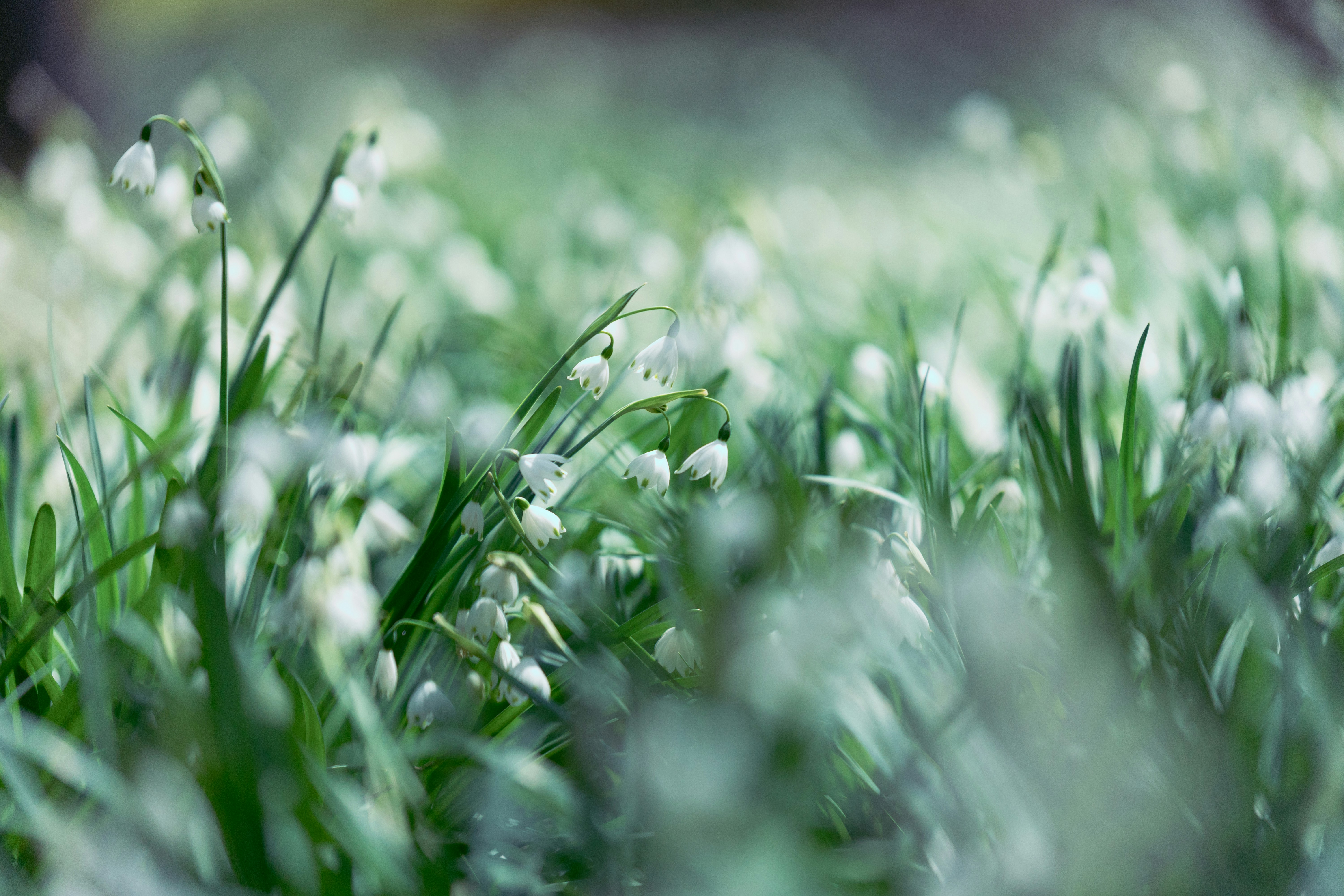 Photo by kamekichi_photos