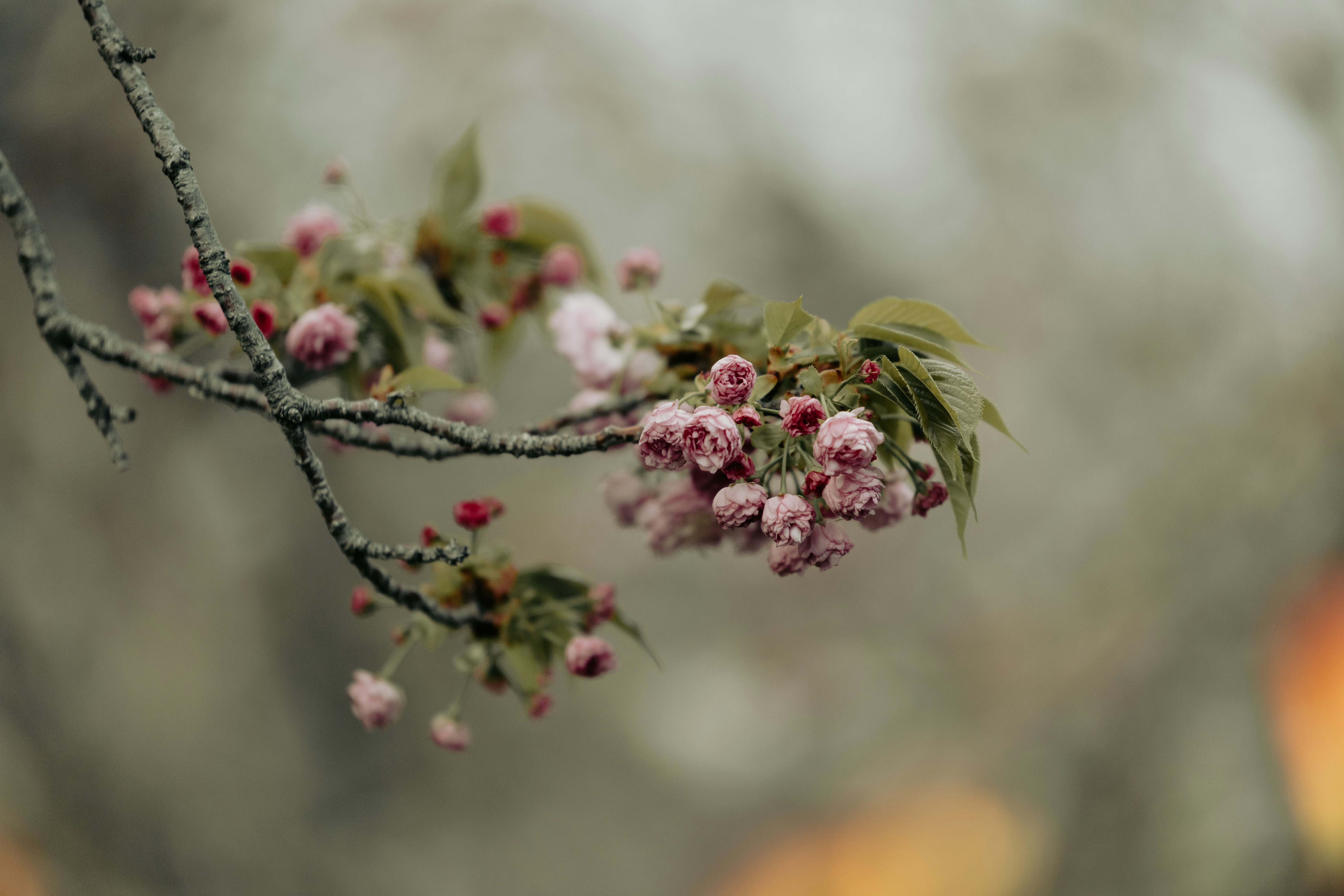 Photo by kamekichi_photos