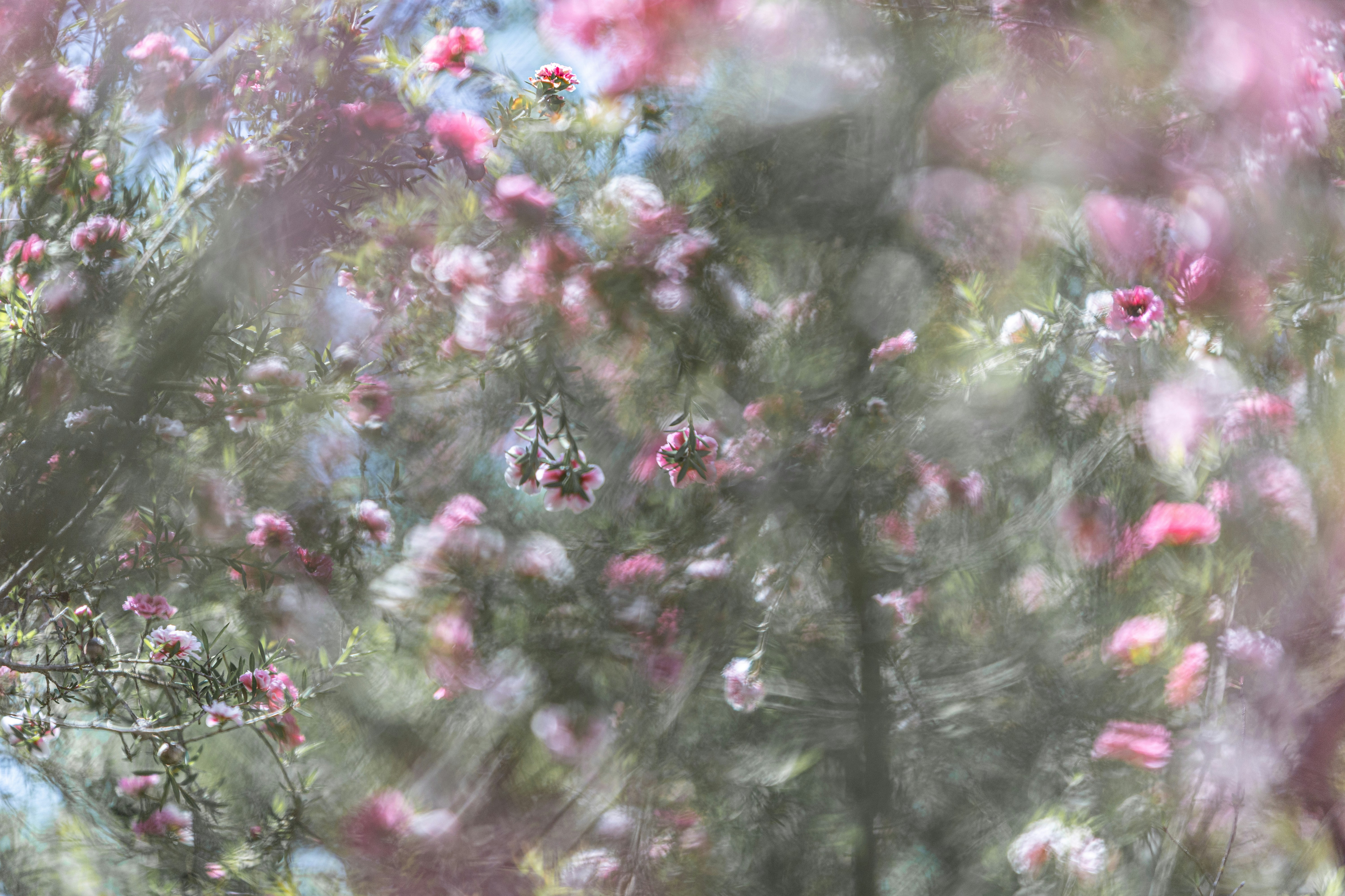 Photo by kamekichi_photos