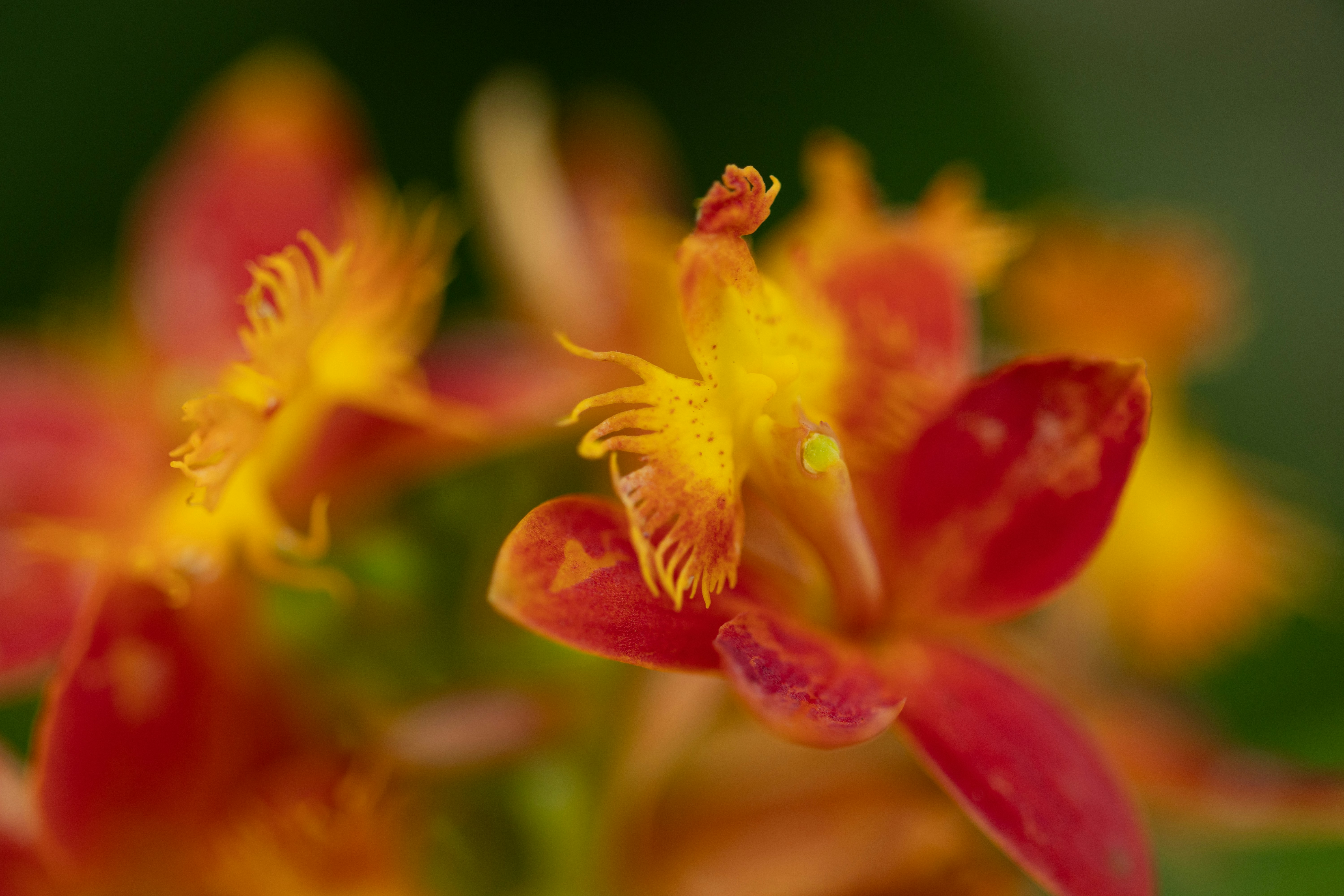 Photo by kamekichi_photos