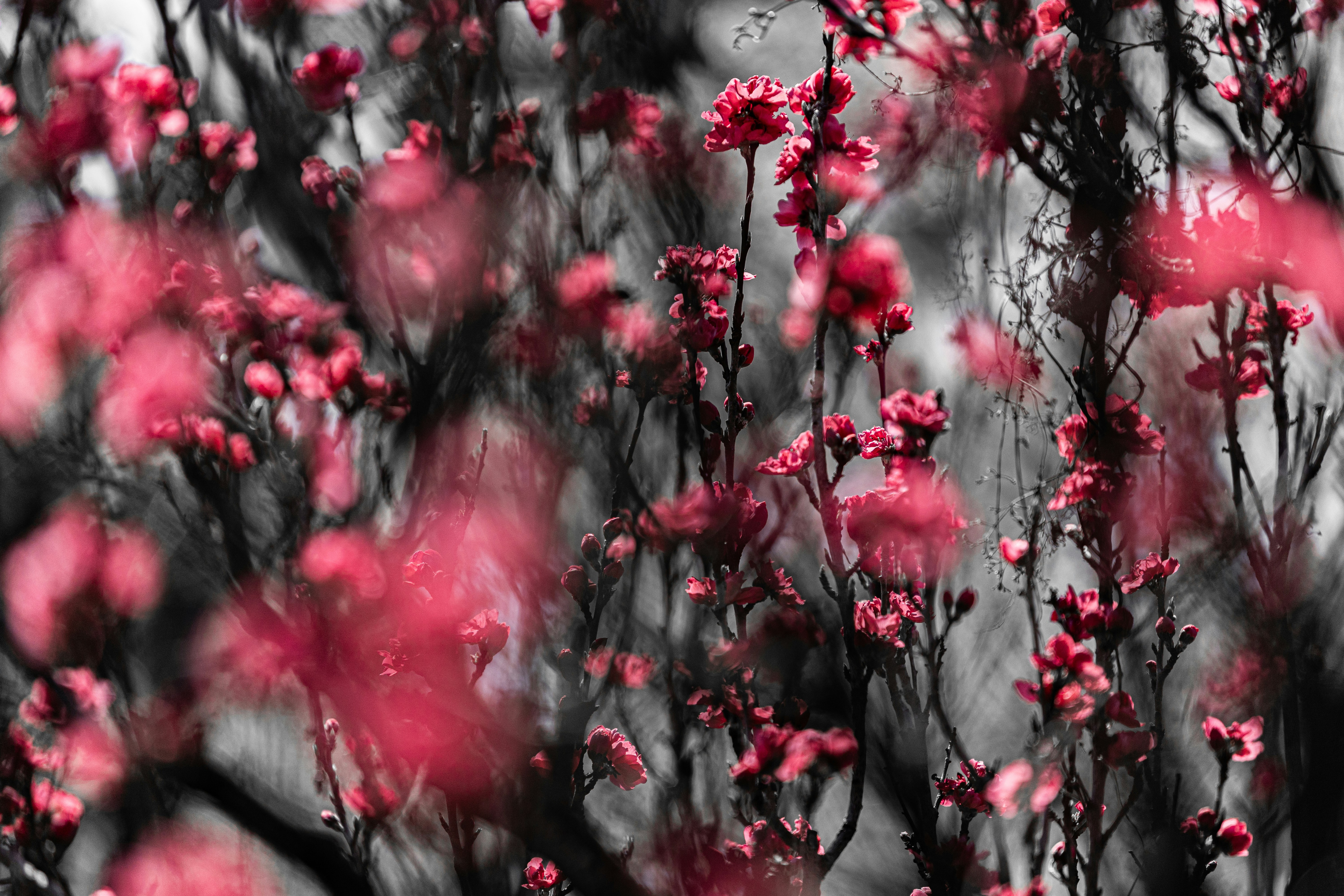 Photo by kamekichi_photos