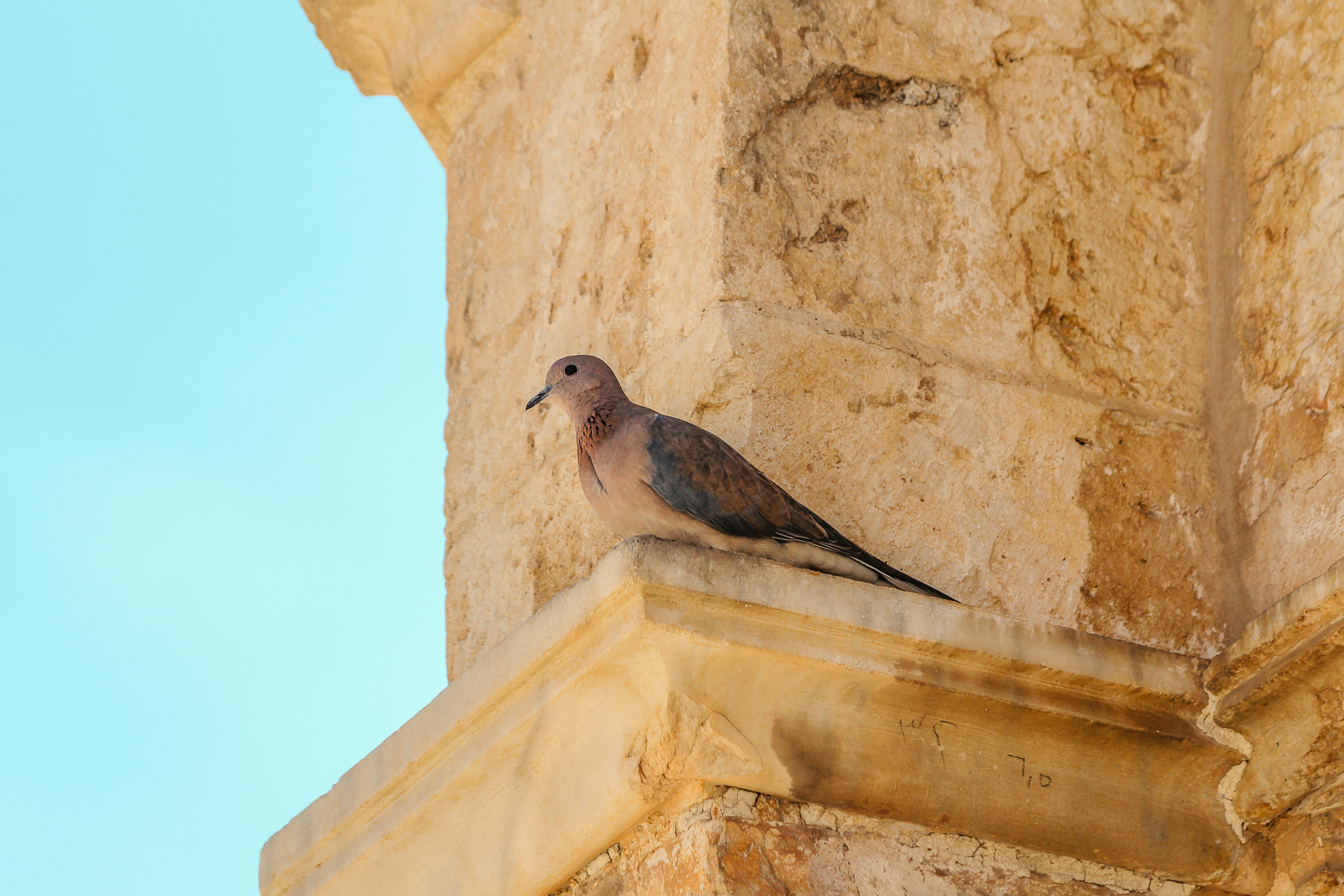 Modern Reconstruction Attempts (image credits: unsplash)