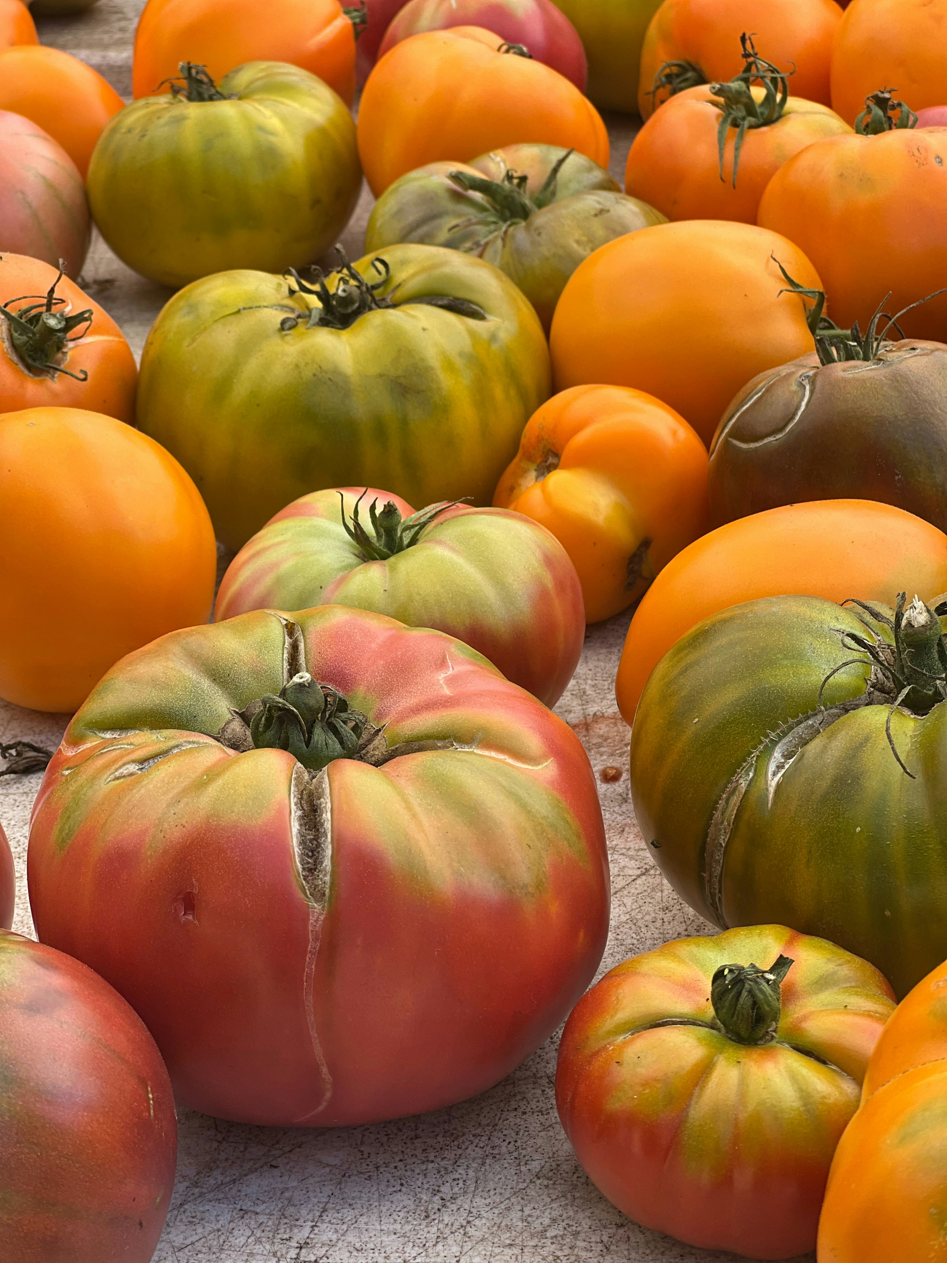 Photo by diana_testa