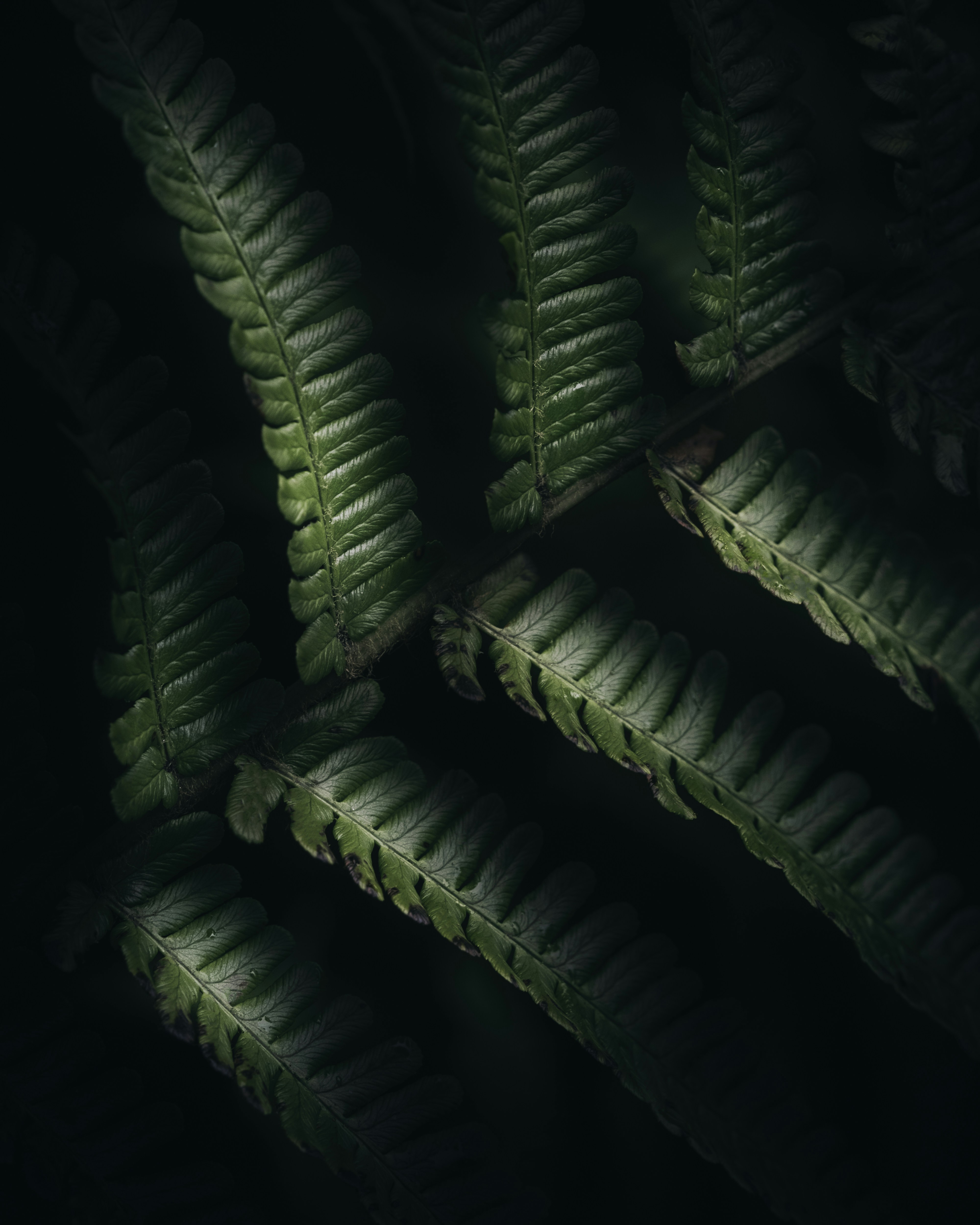 Photo by edgar_infocus