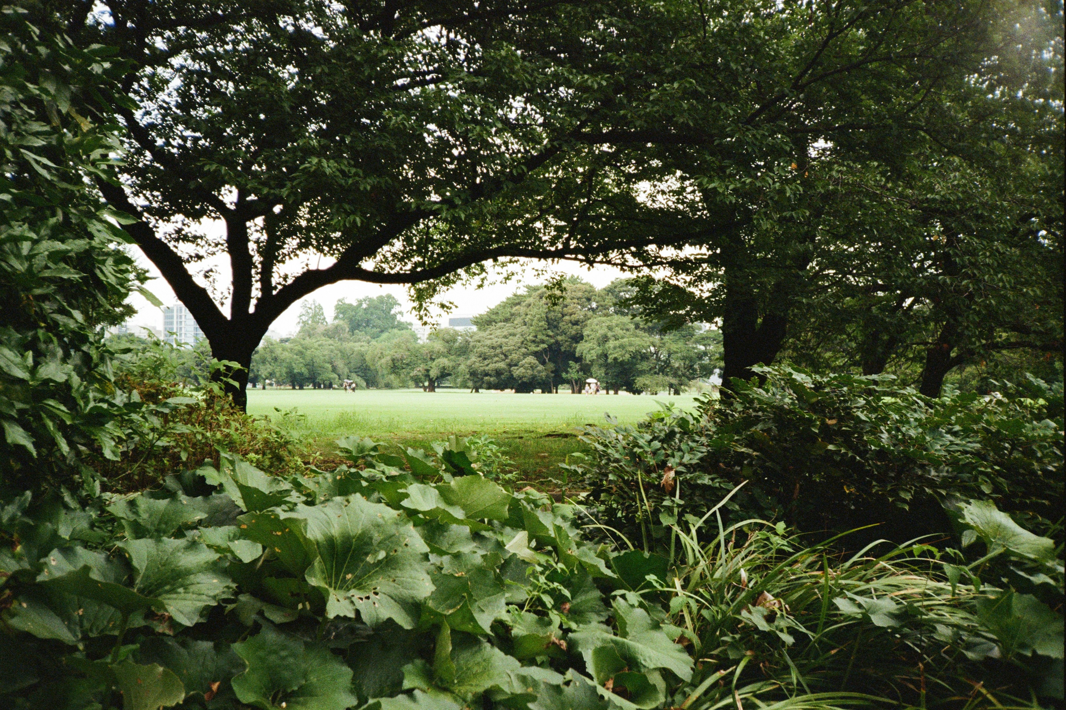 Photo by benbouvierfarrell