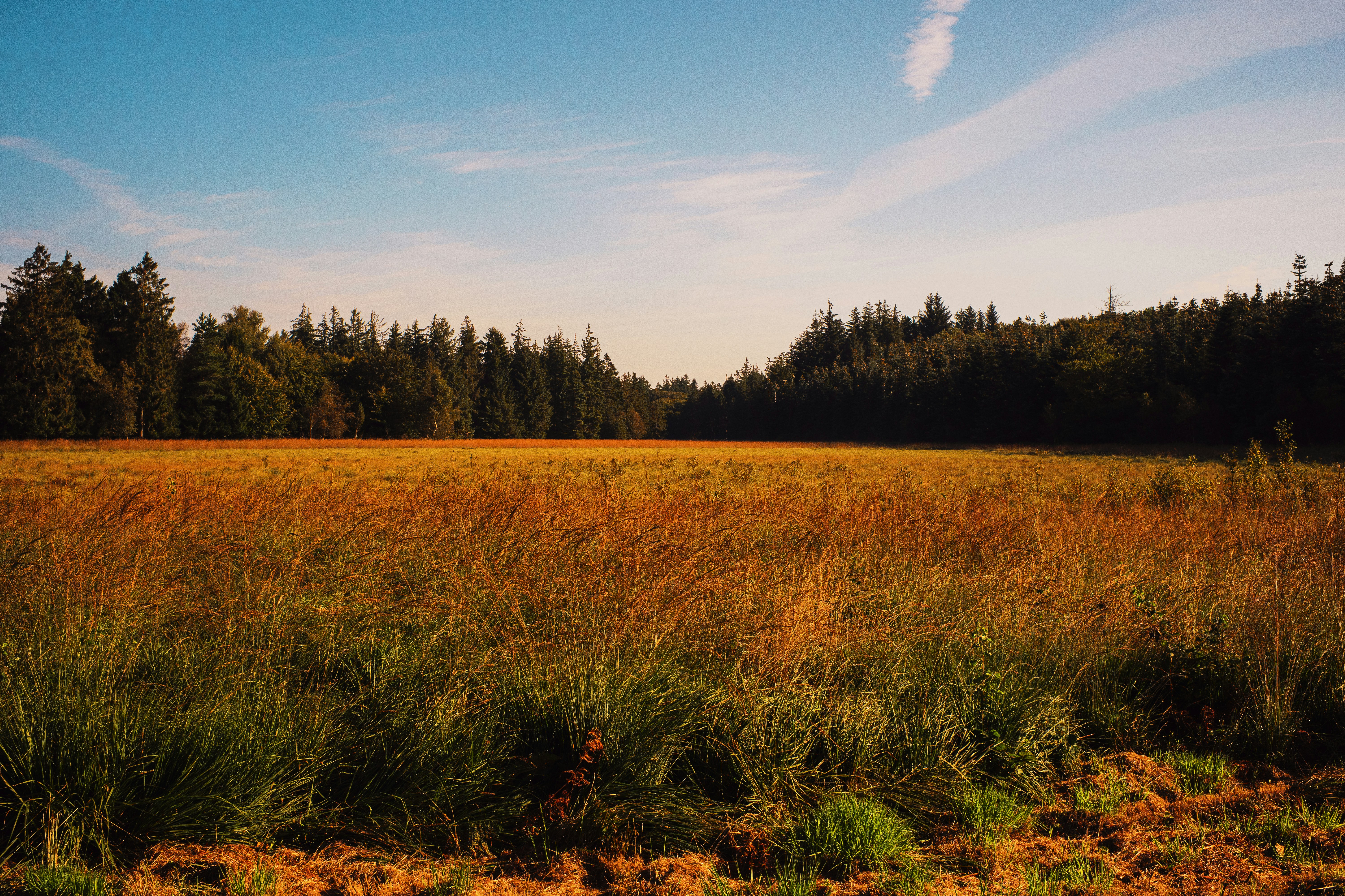 Photo by patrick_von_der_wehd