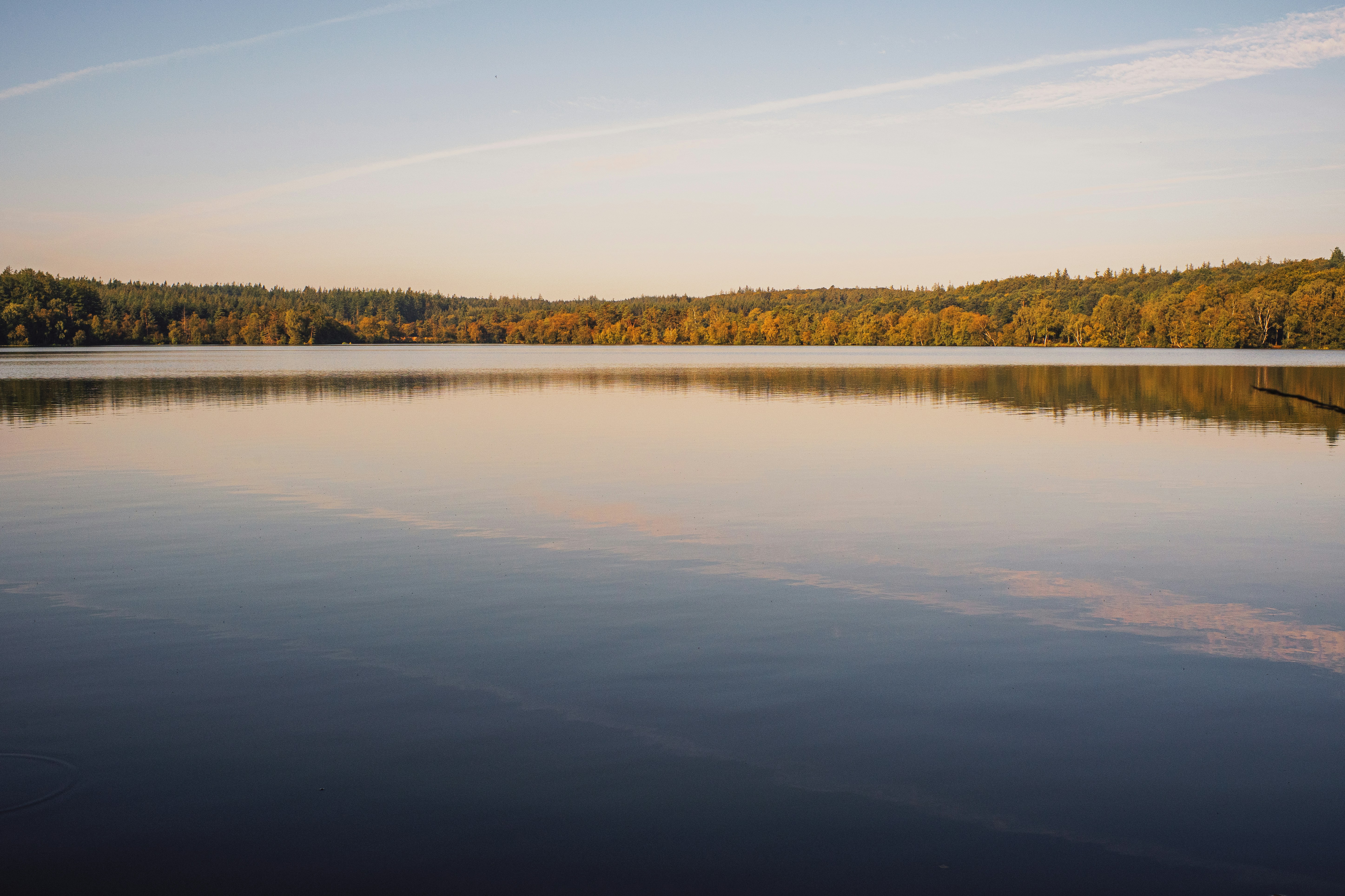 Stop image for Portland to Crater Lake: 3-Day Nature Adventure - A large body of water surrounded by trees -  in Pacific Northwest & West Coast - Photo by Patrick von der Wehd on Unsplash