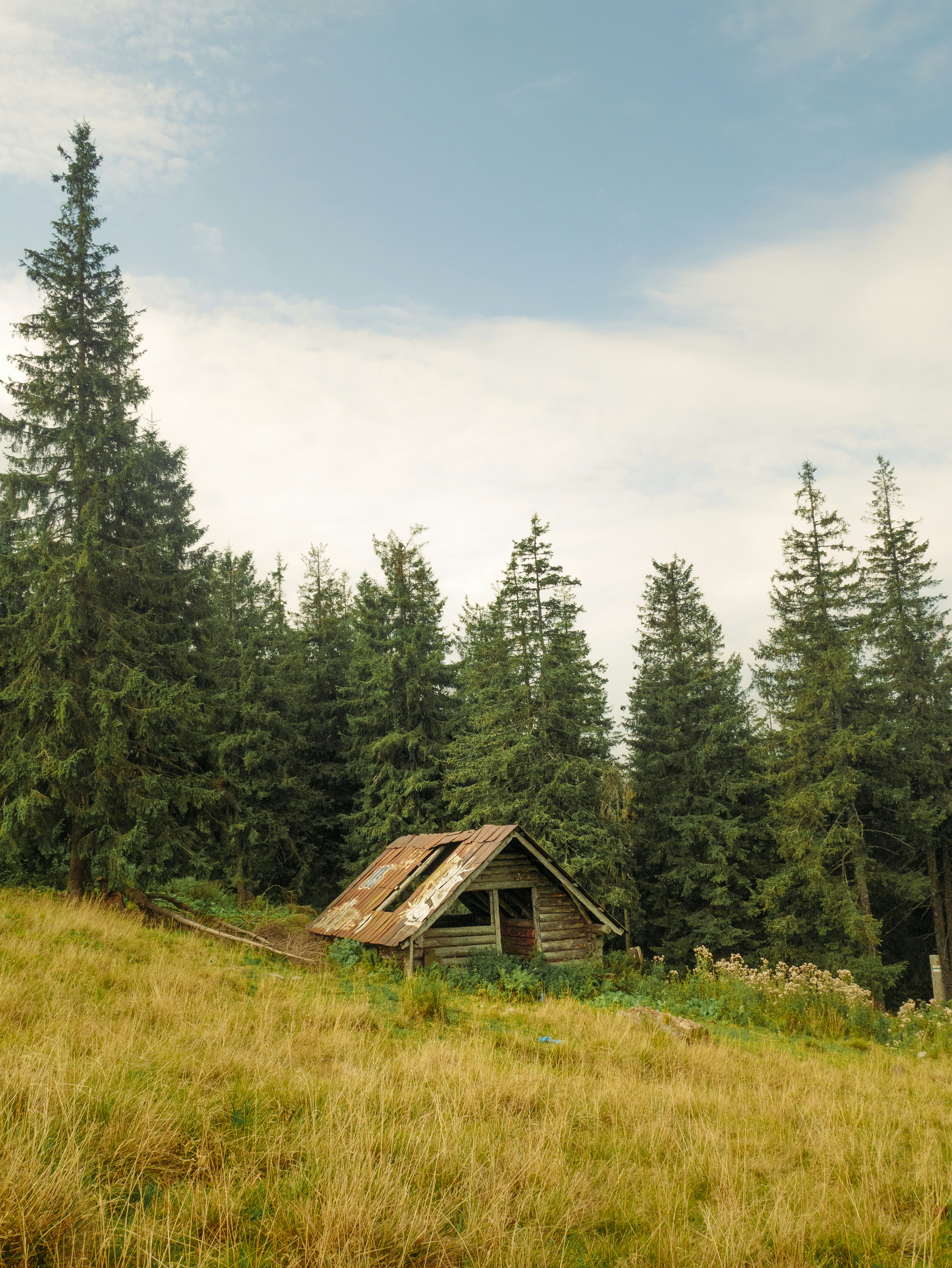A cabin in the middle of a field with trees in the background