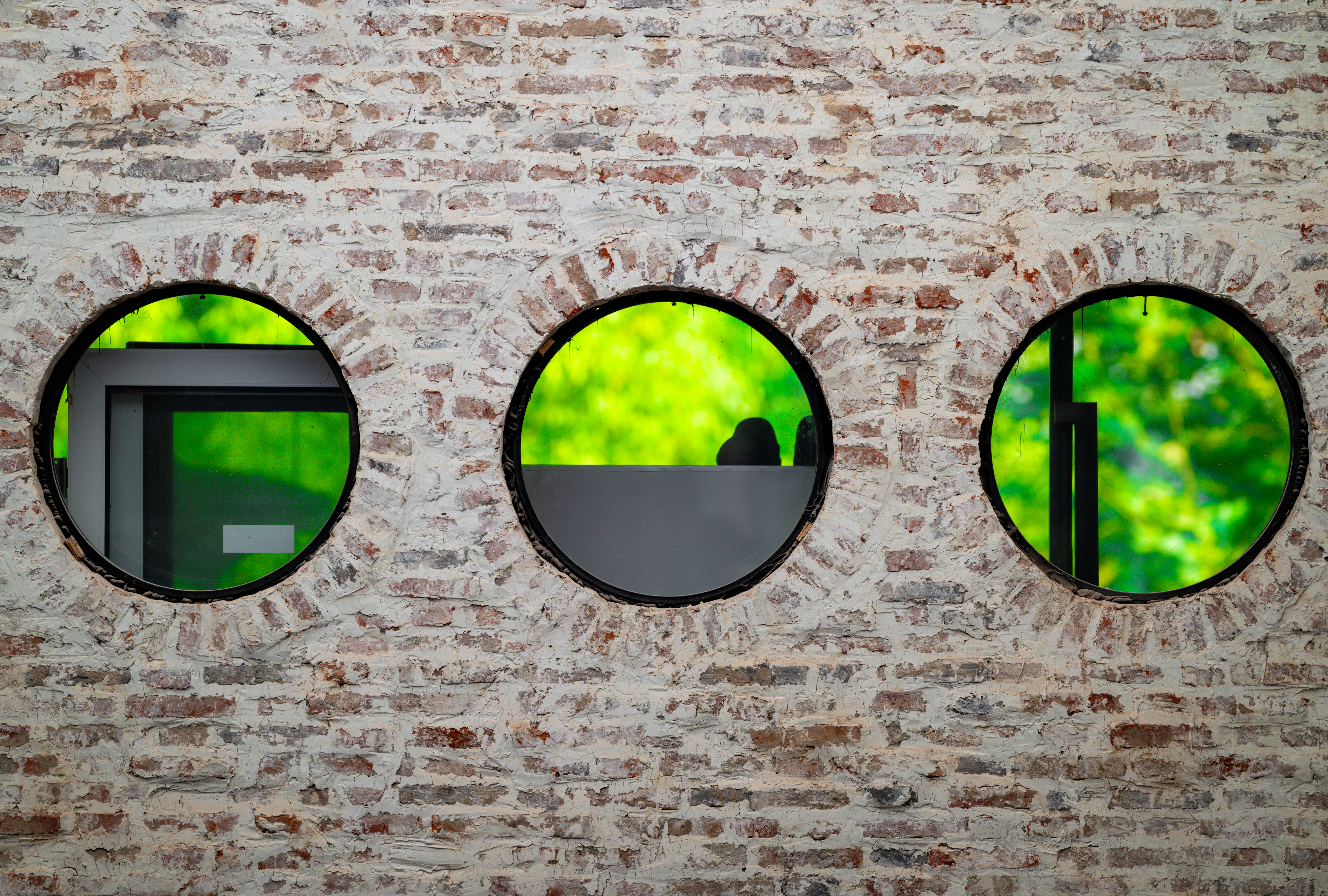 CSS Animation – Rotate and Transform Elements