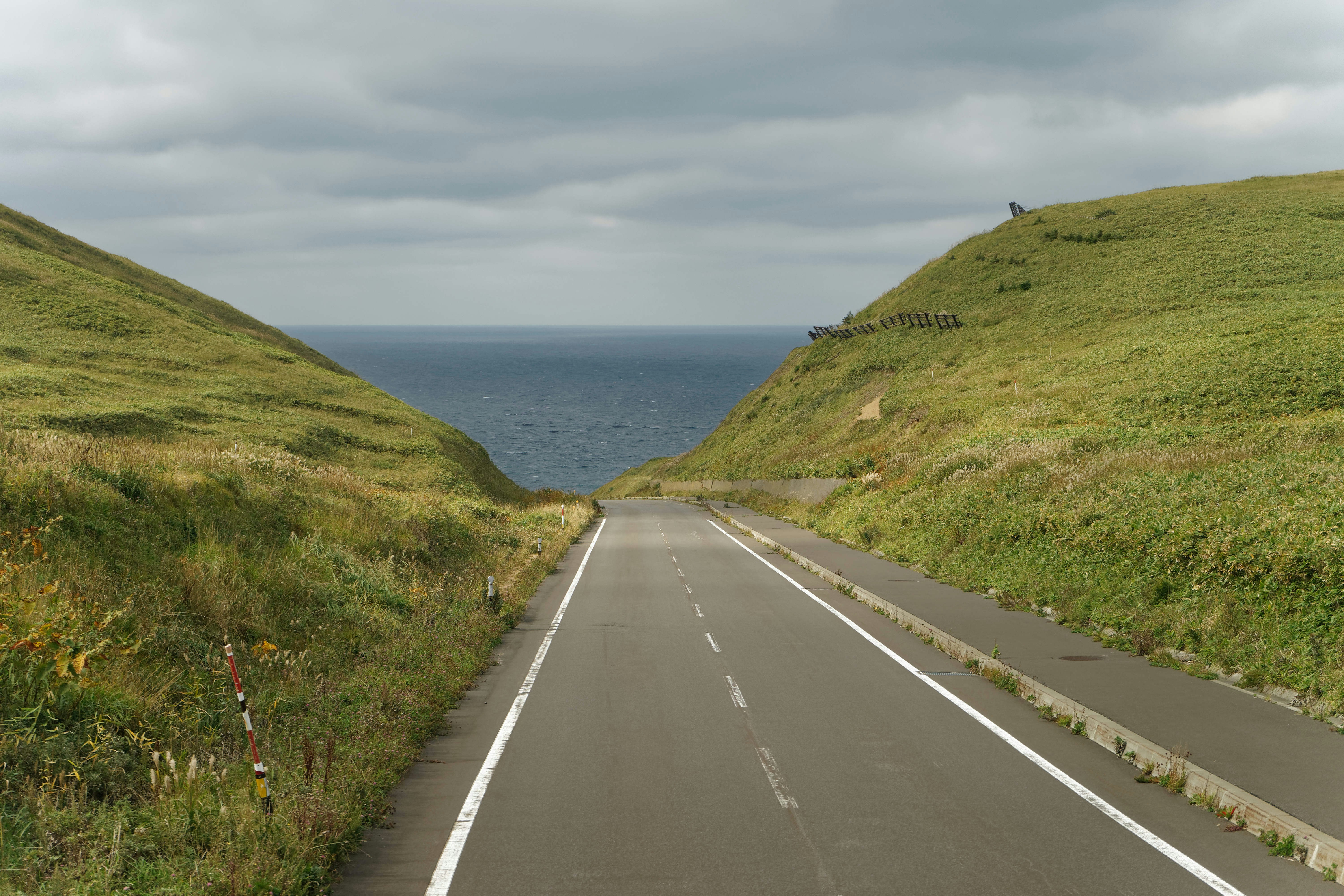 Photo by da_shika_photo