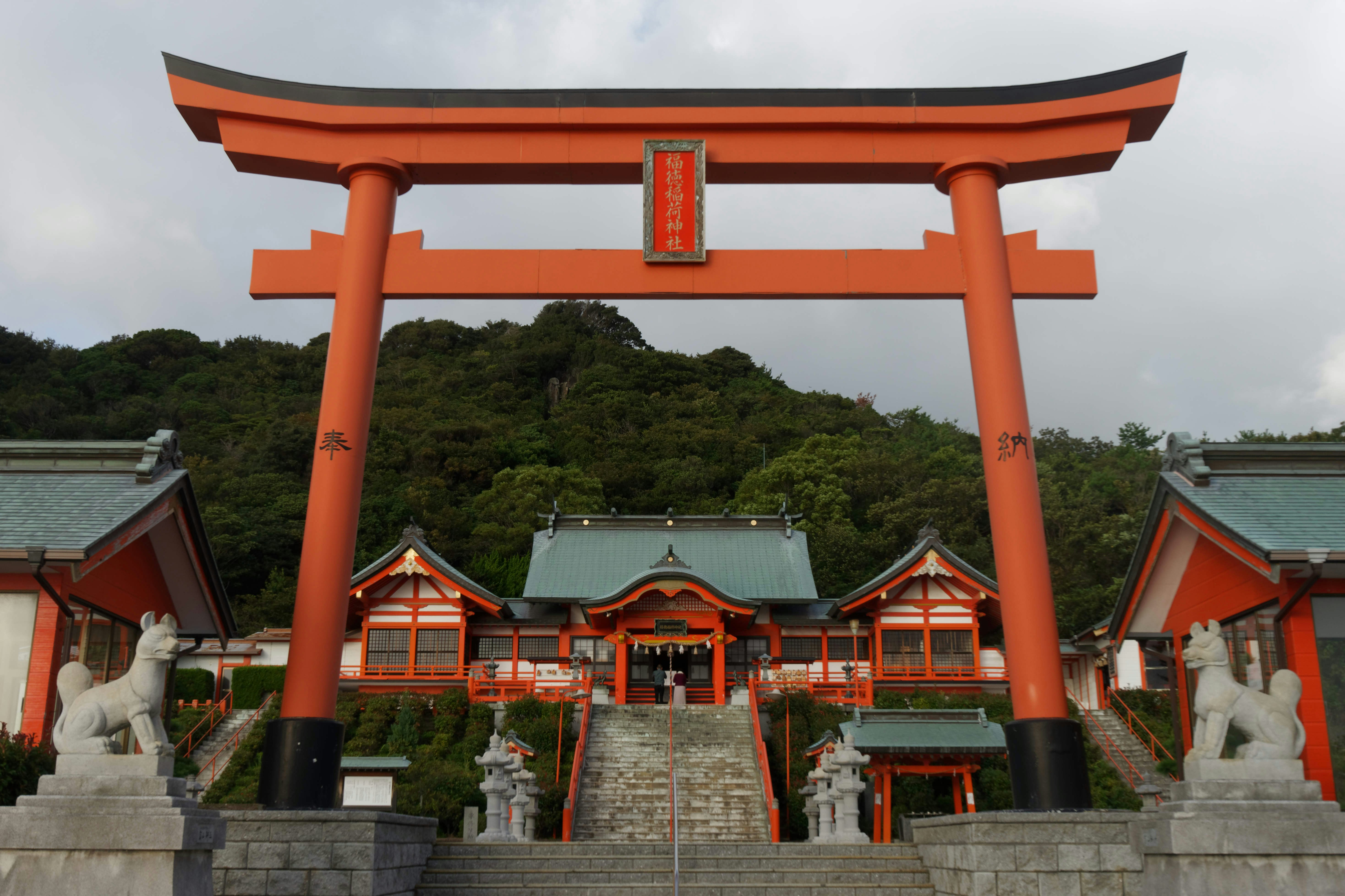 Photo by da_shika_photo