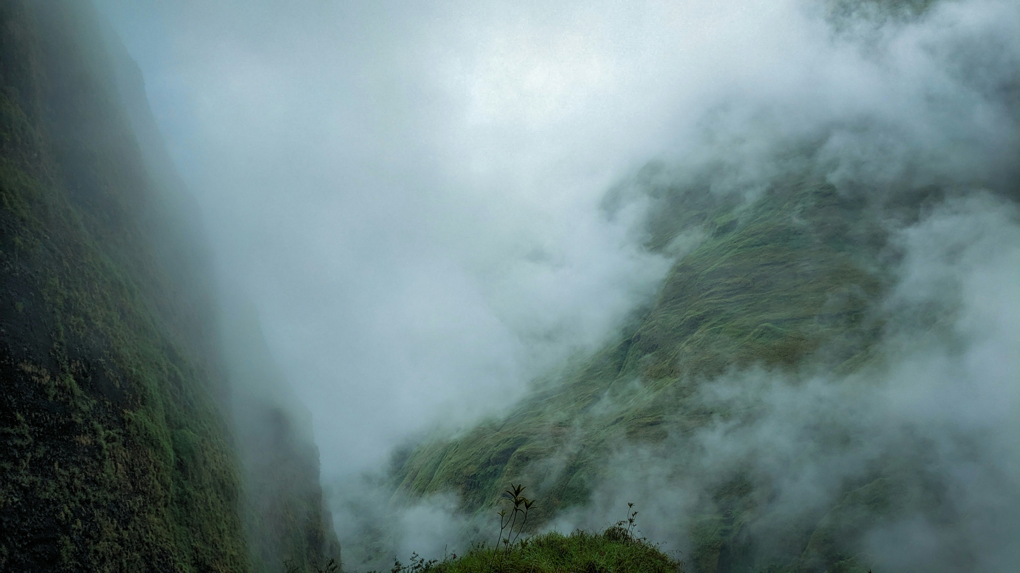 Photo by nukinugraha