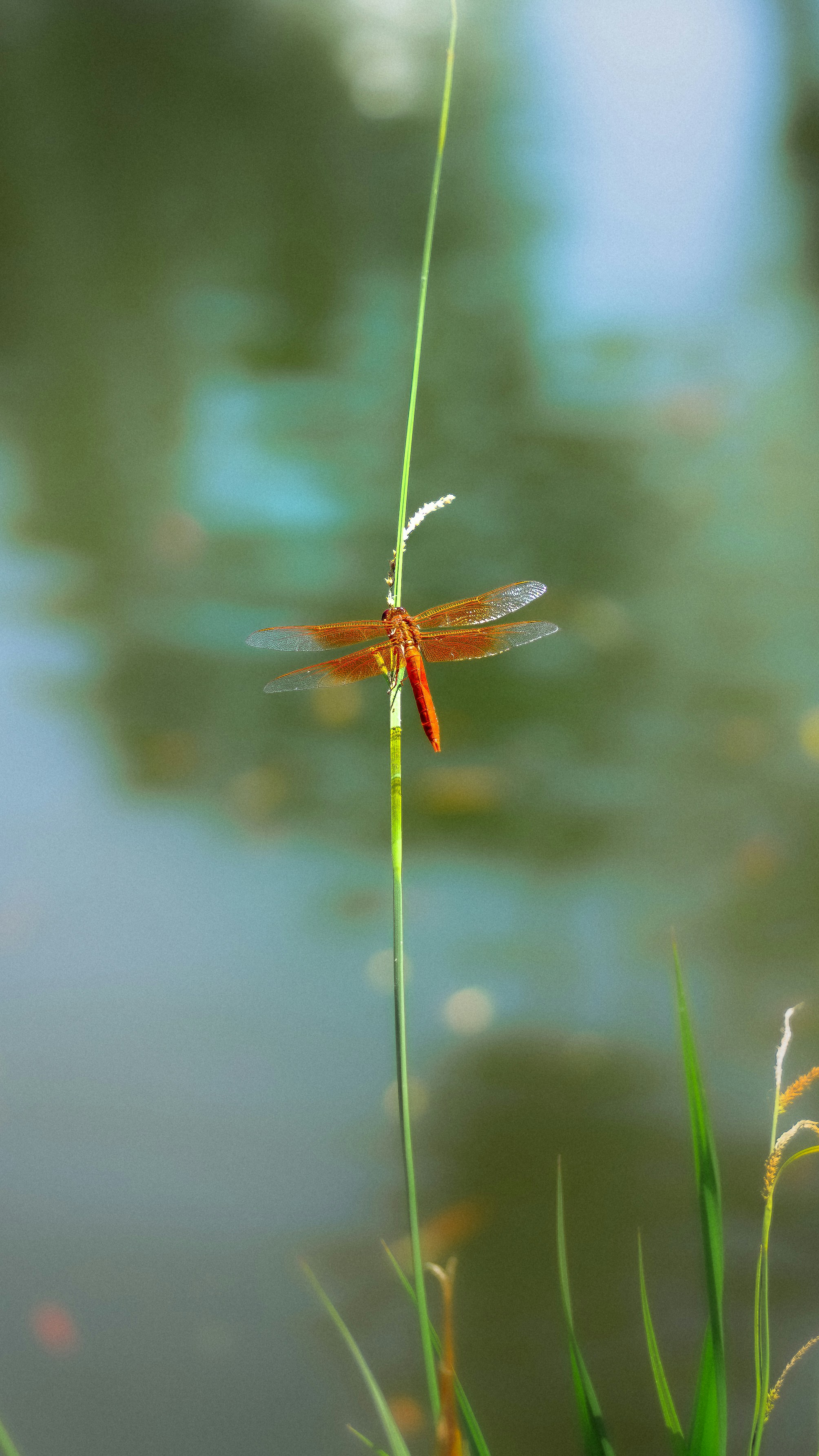 Photo by cashlovely24