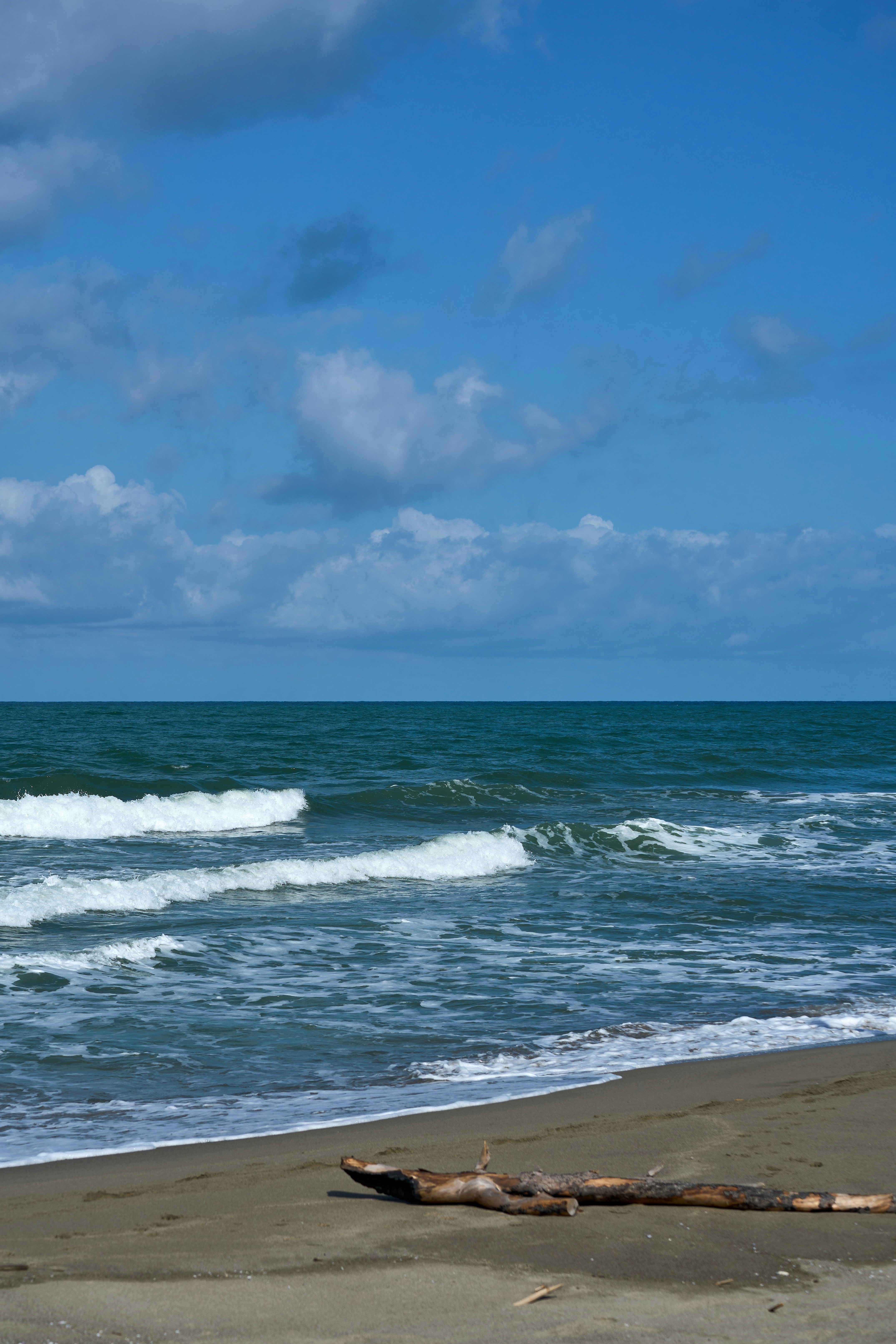 Photo by wolfgang_hasselmann