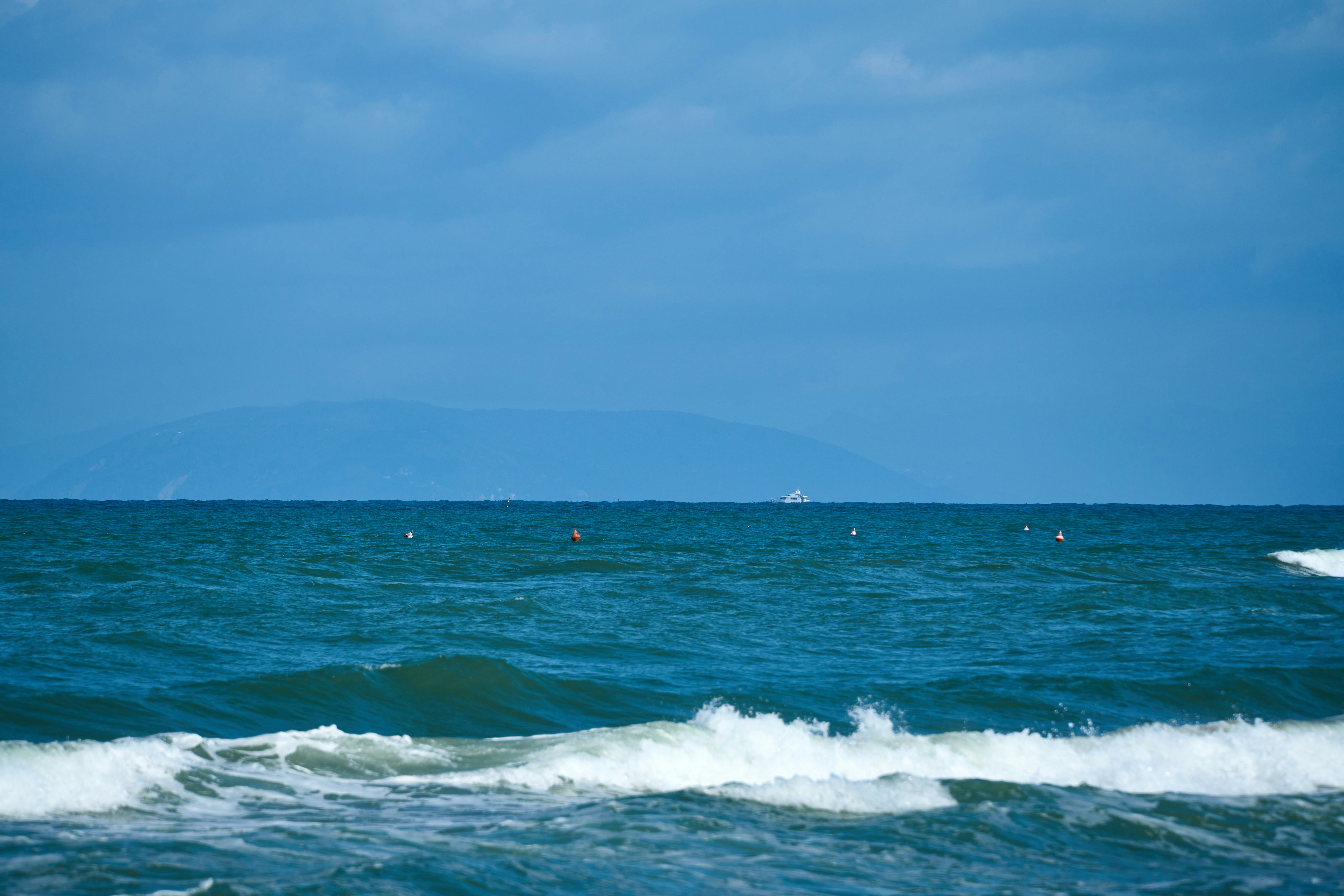 Photo by wolfgang_hasselmann