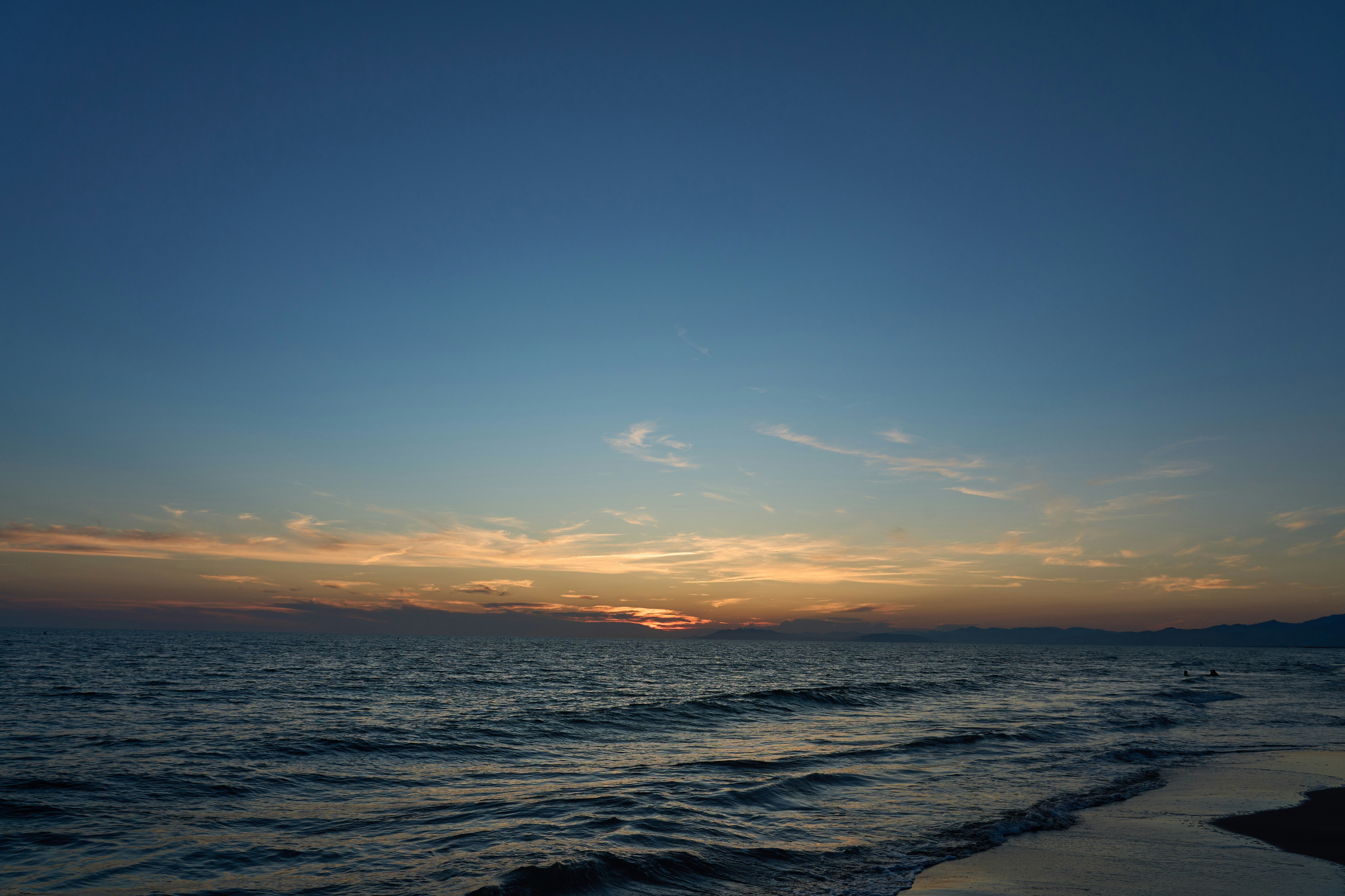 Photo by wolfgang_hasselmann