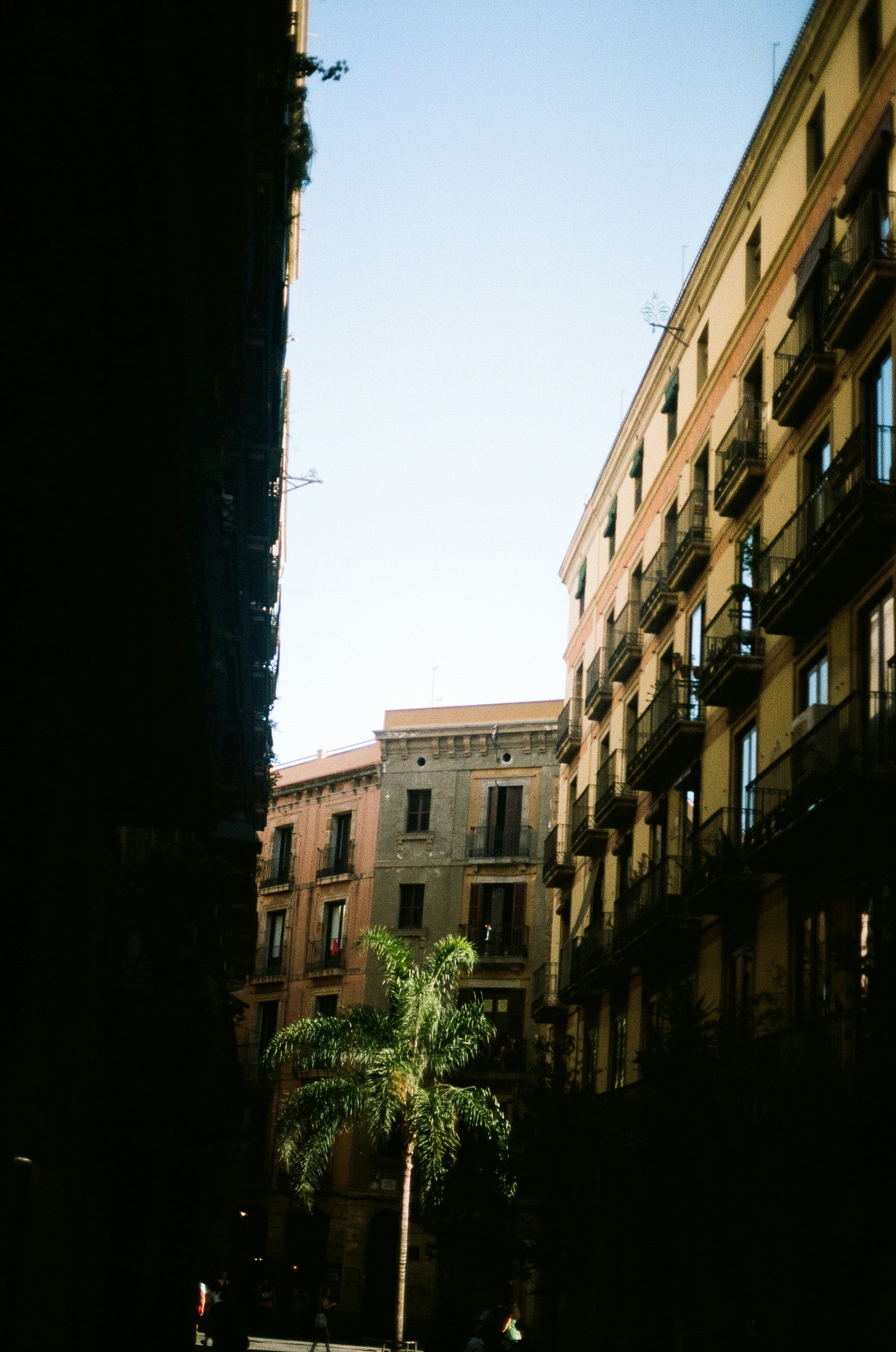 Photo by taramaemil