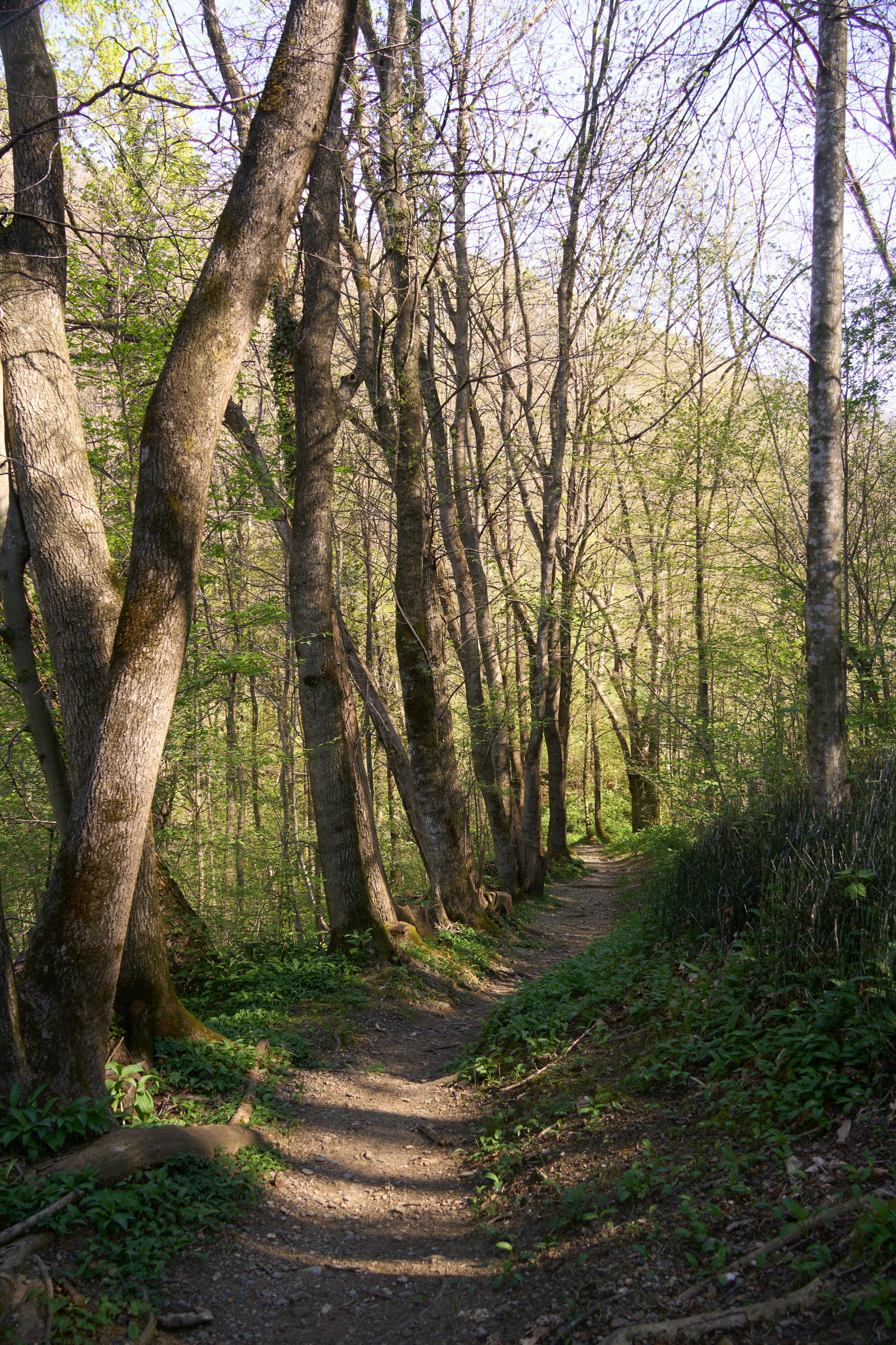 Photo by wolfgang_hasselmann