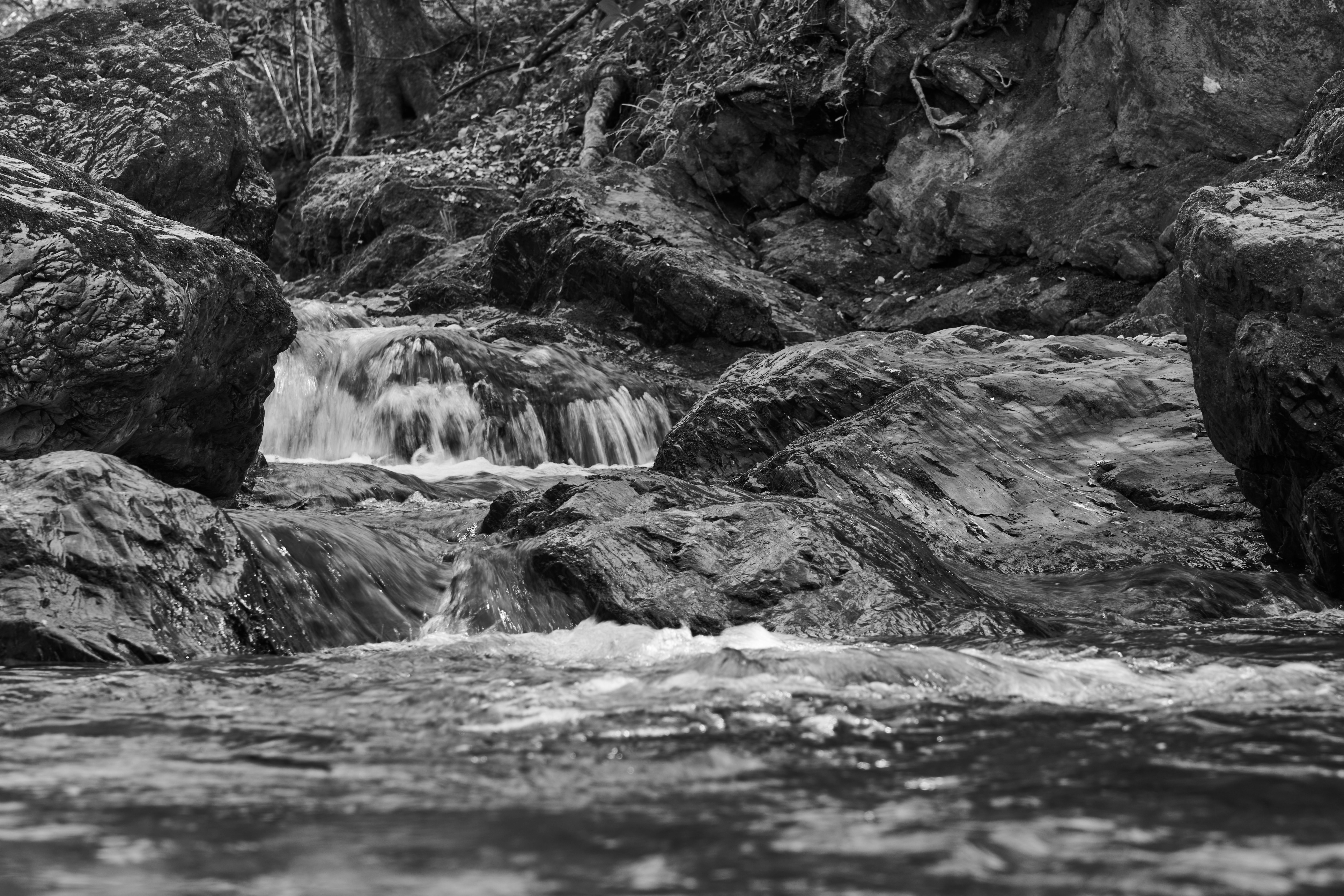 Photo by wolfgang_hasselmann