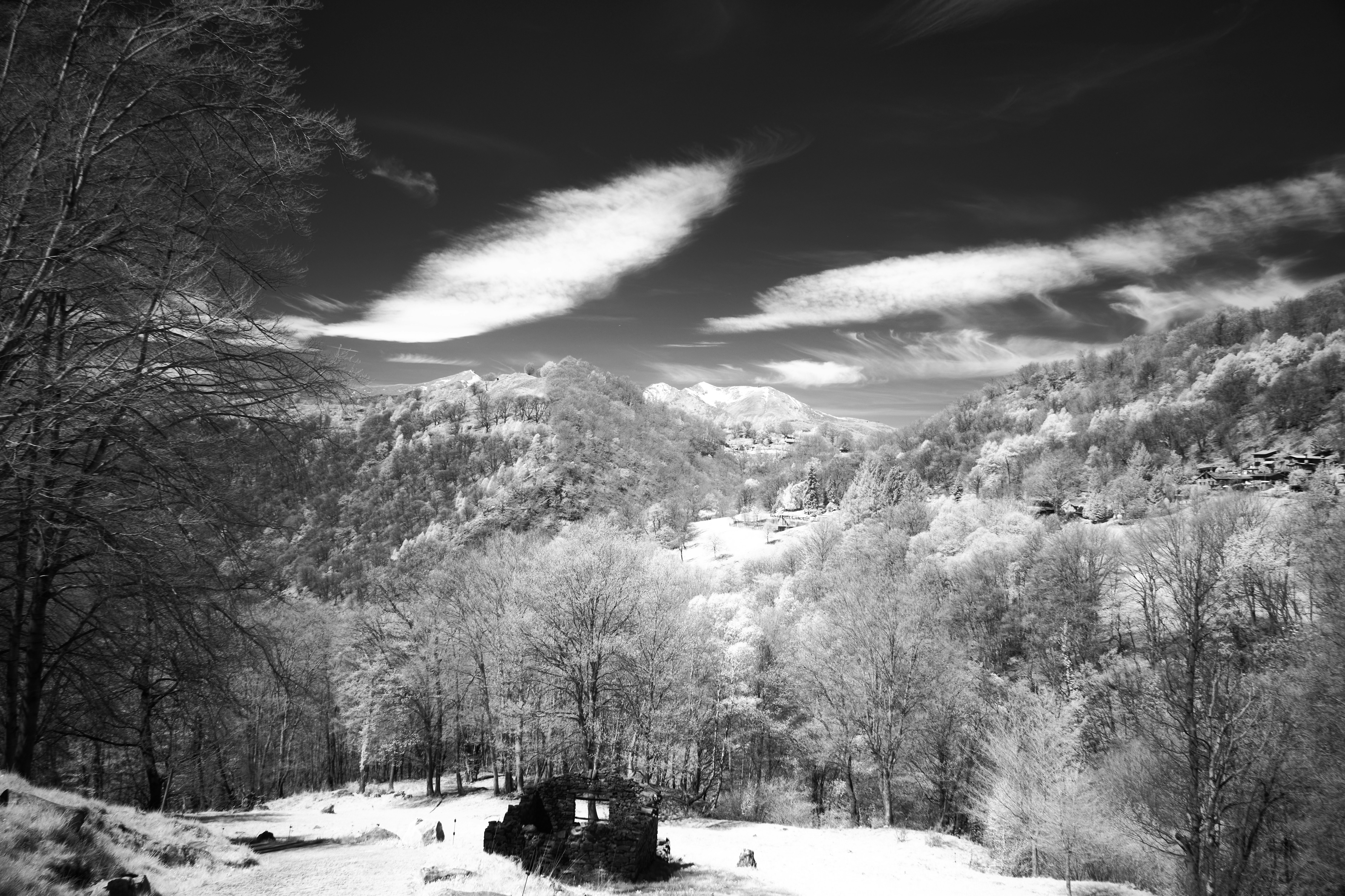 Photo by wolfgang_hasselmann