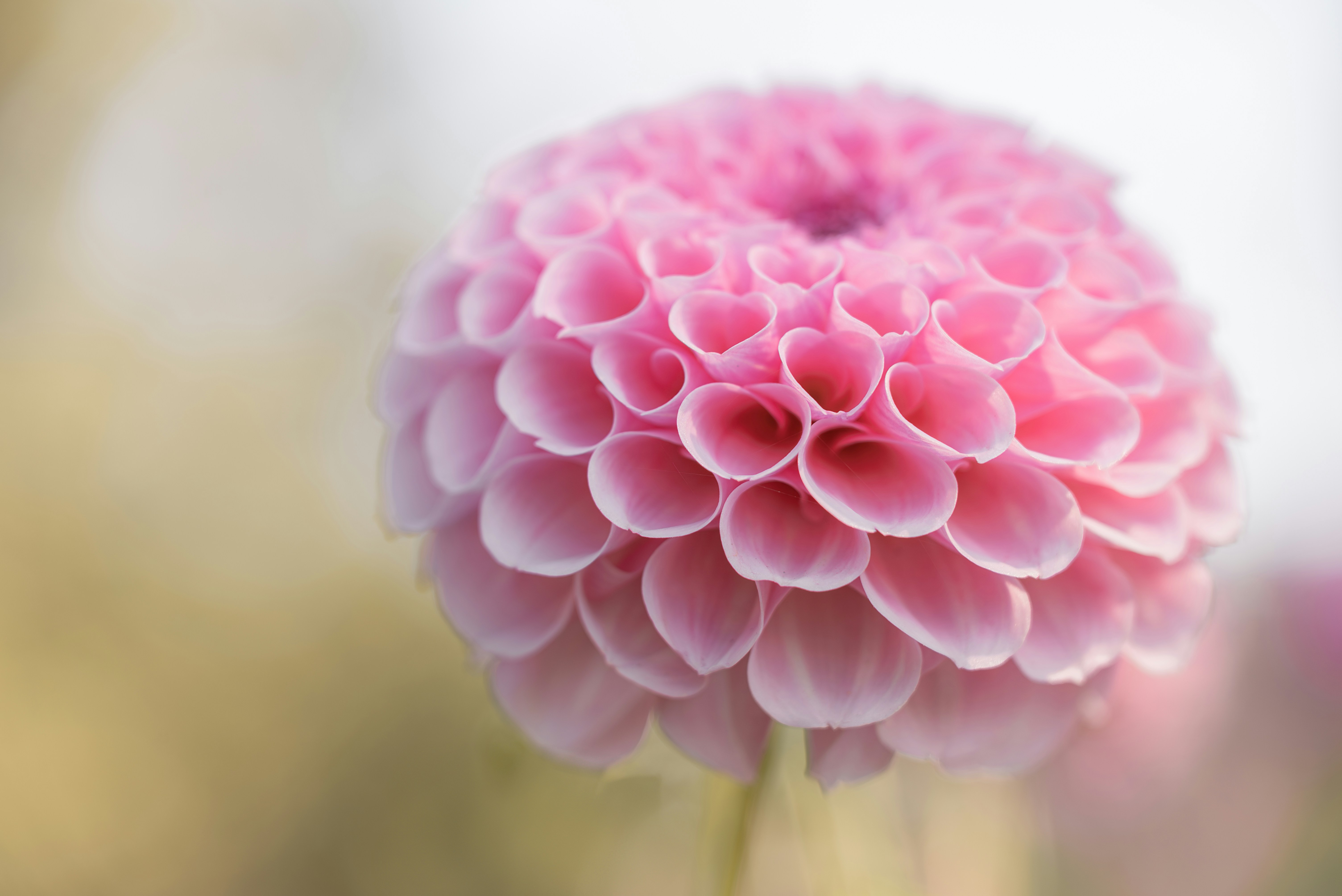 Photo by jetztabertempo