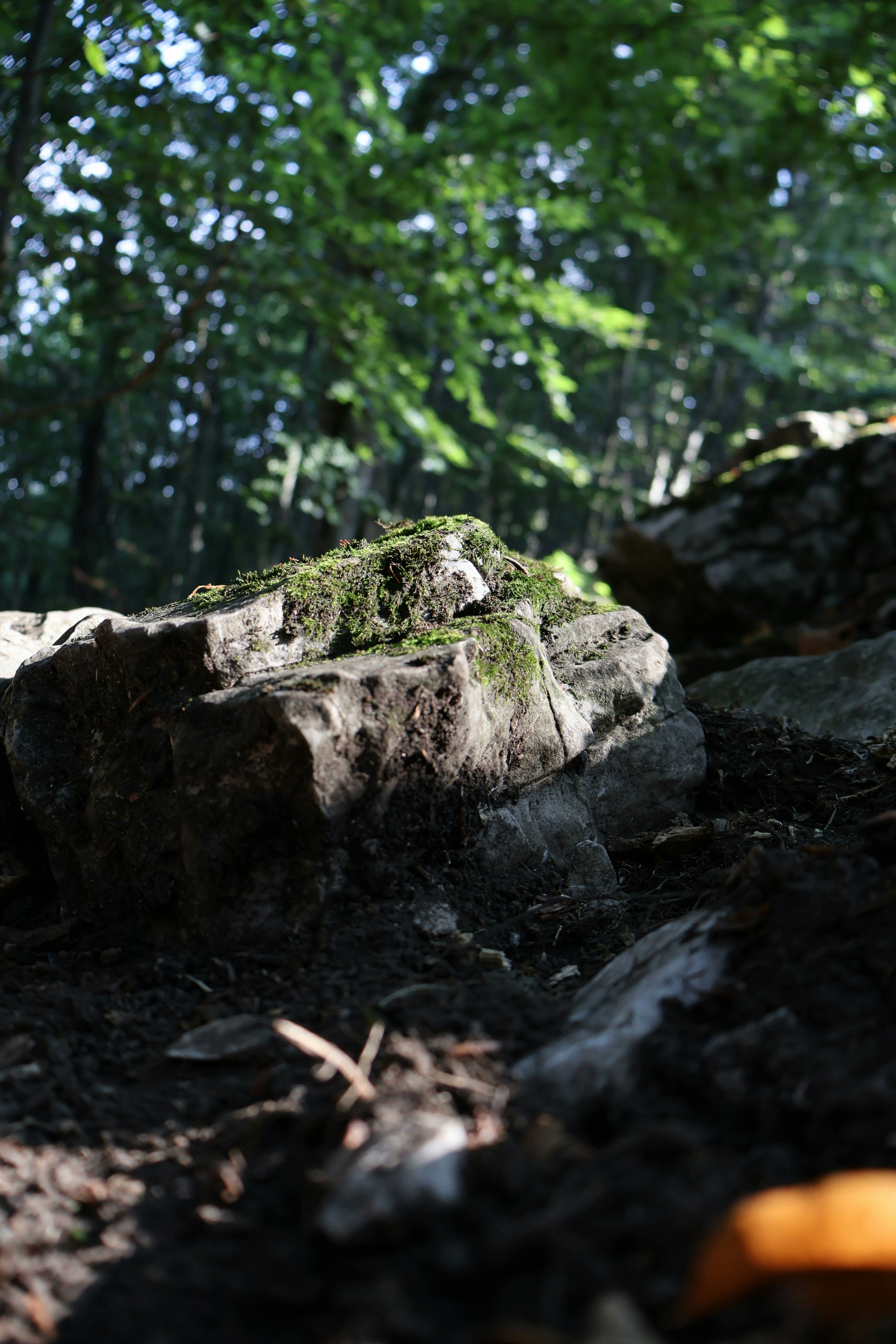 Photo by martin_lednar