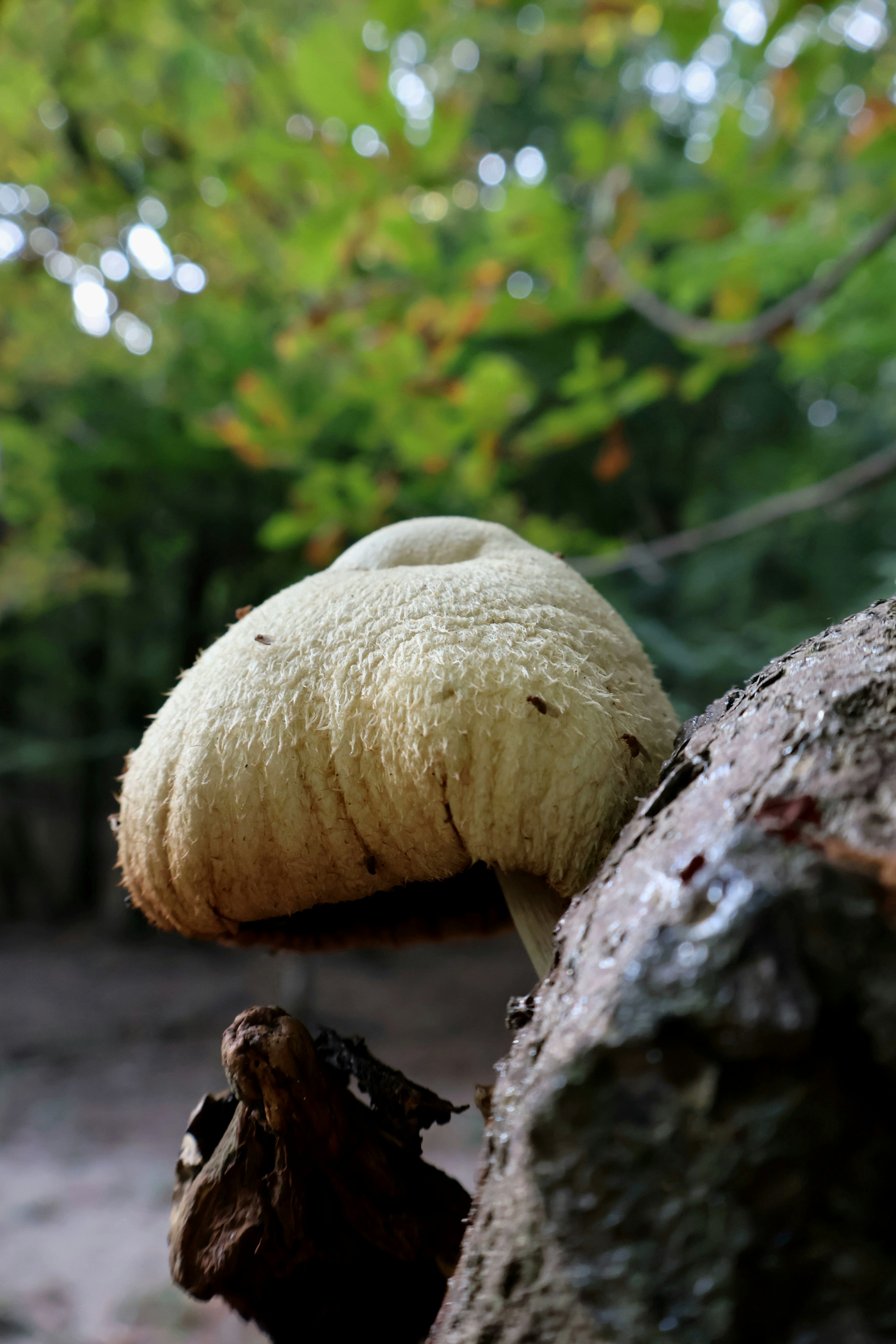 Photo by martin_lednar