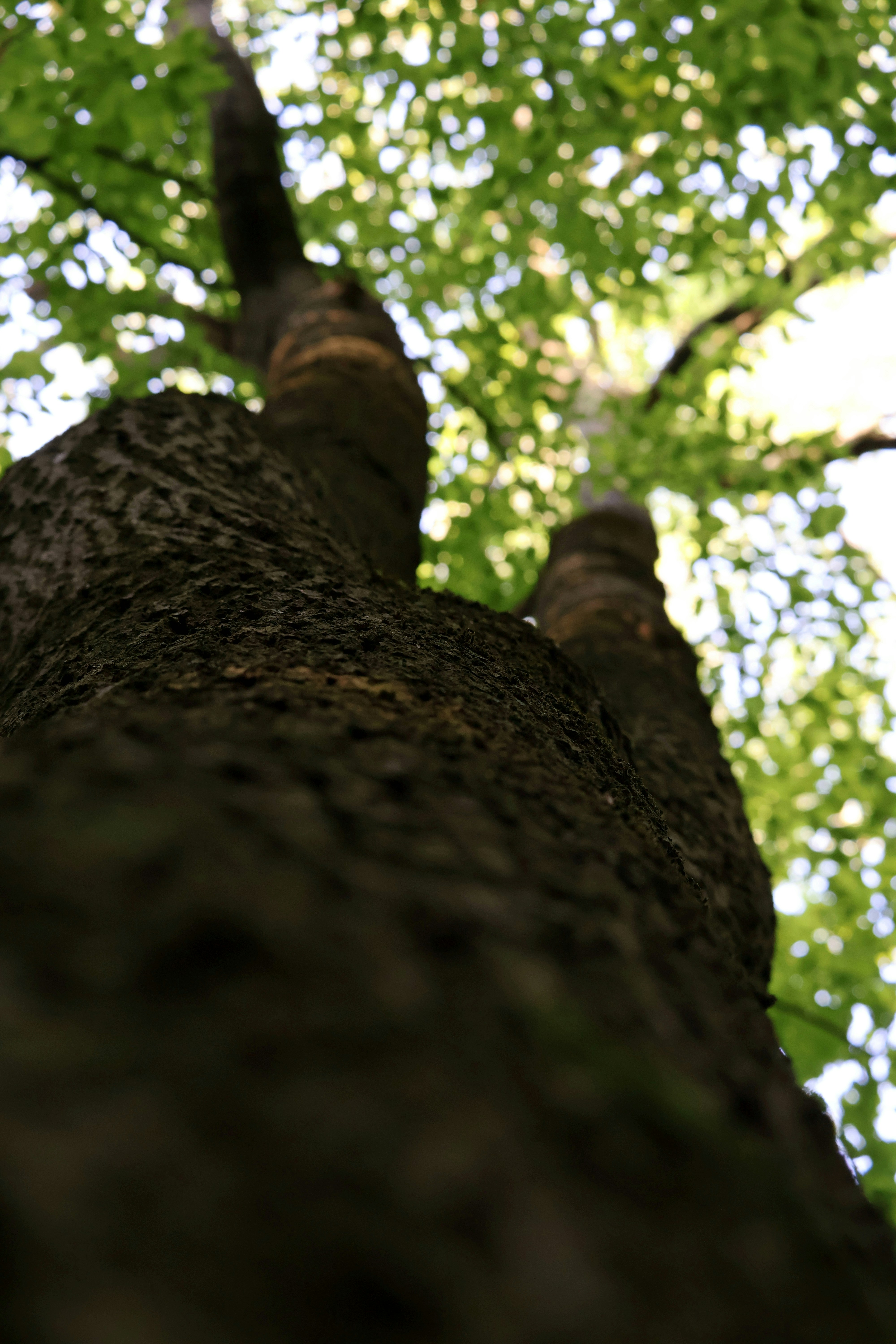 Photo by martin_lednar