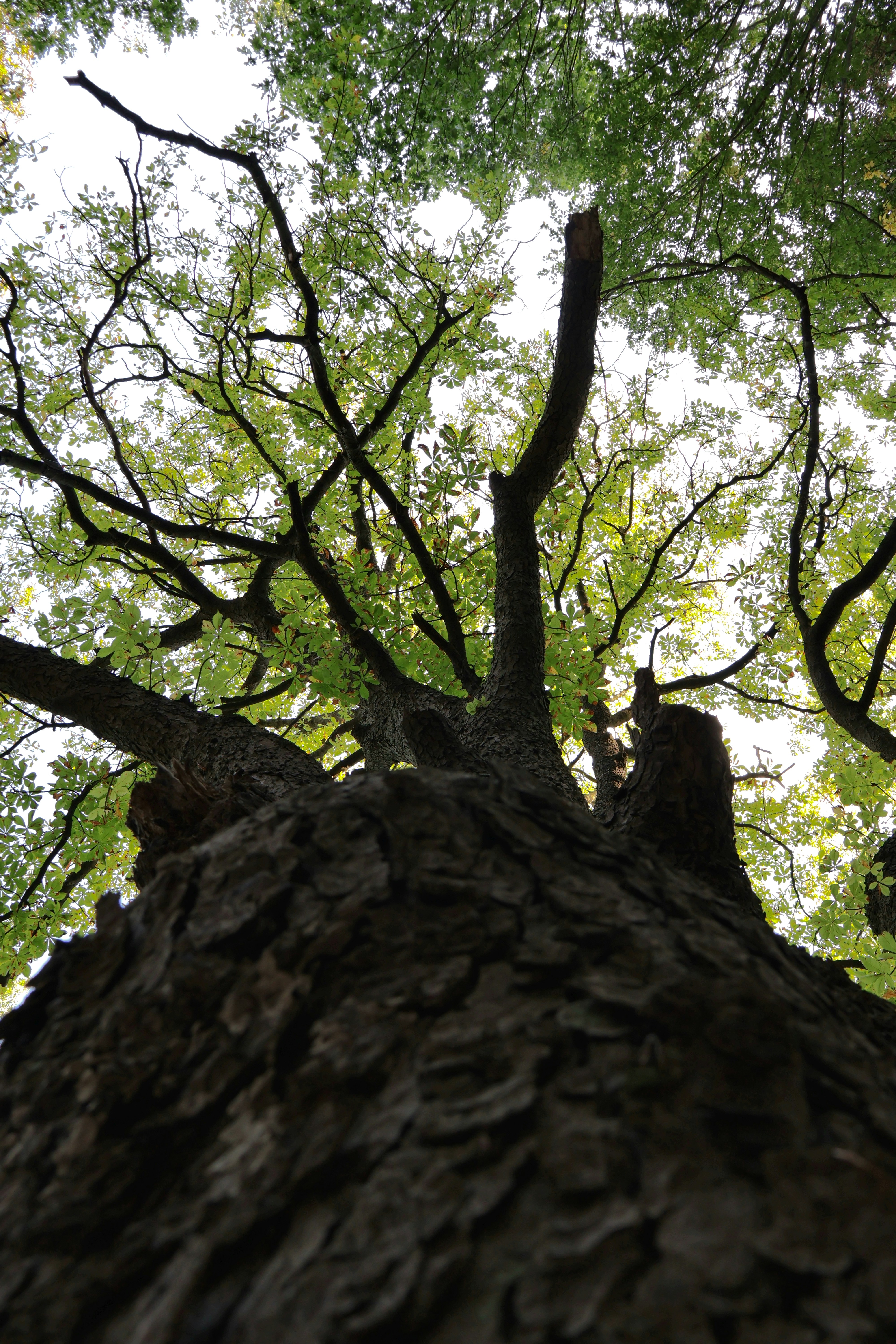 Photo by martin_lednar