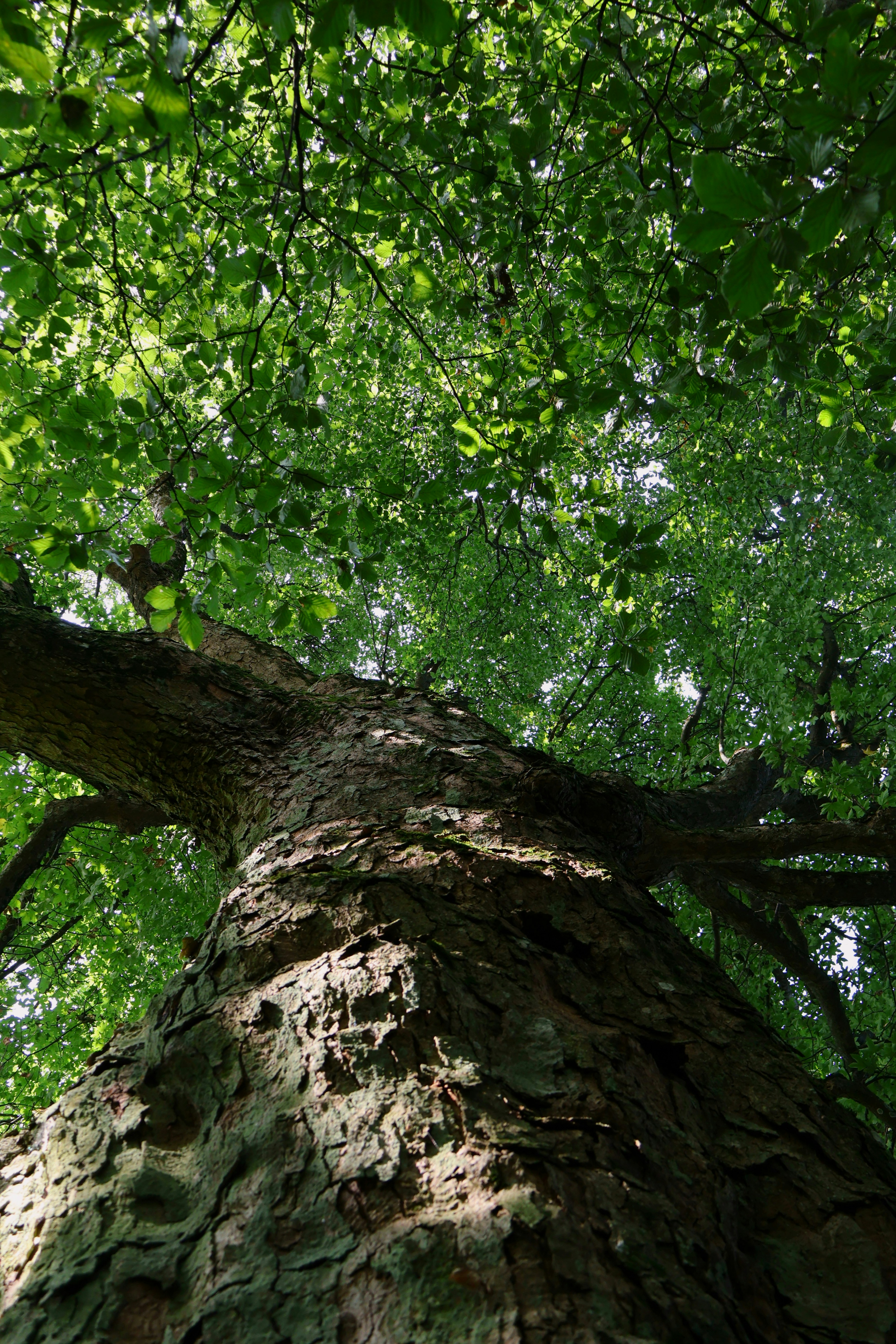 Photo by martin_lednar