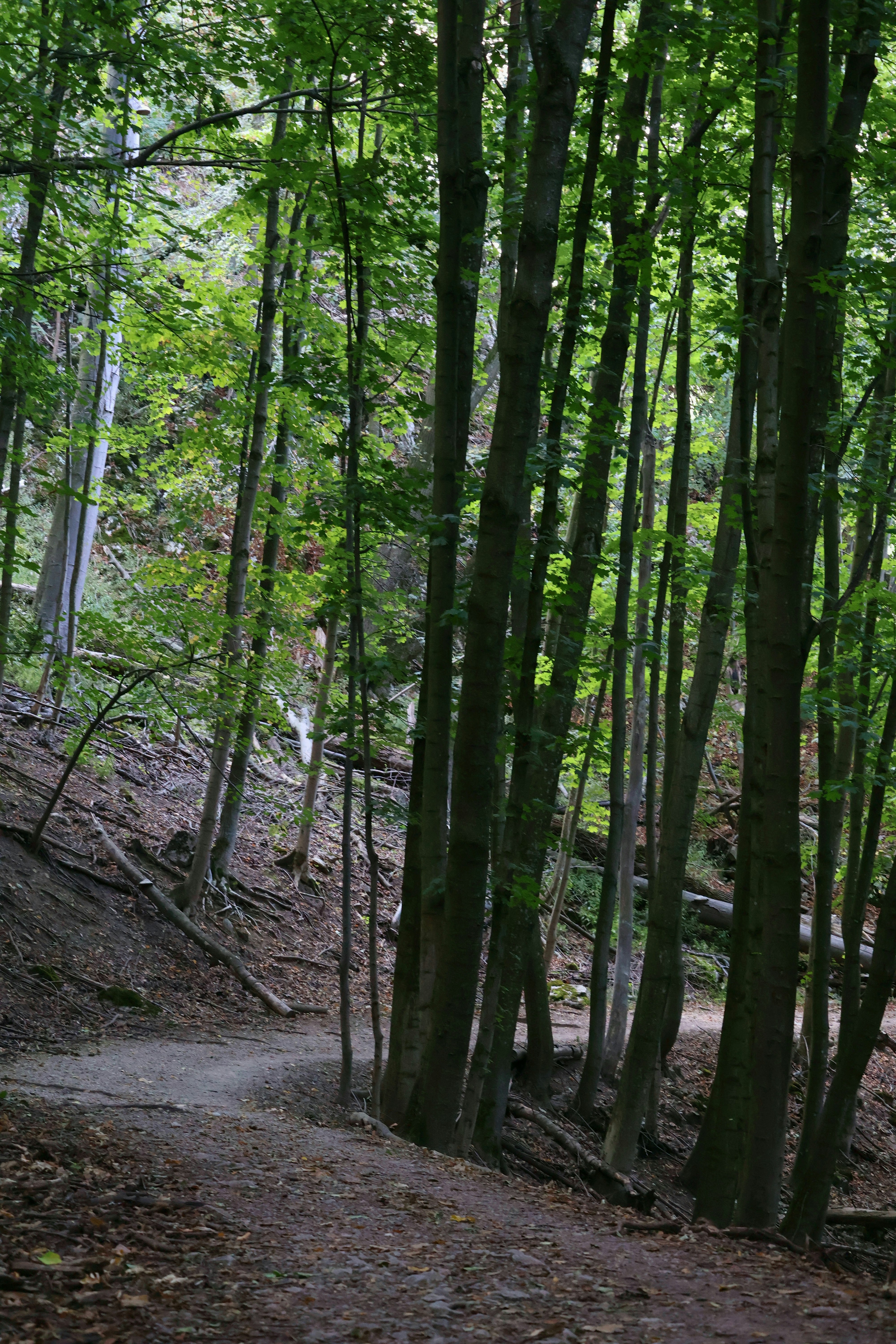 Photo by martin_lednar