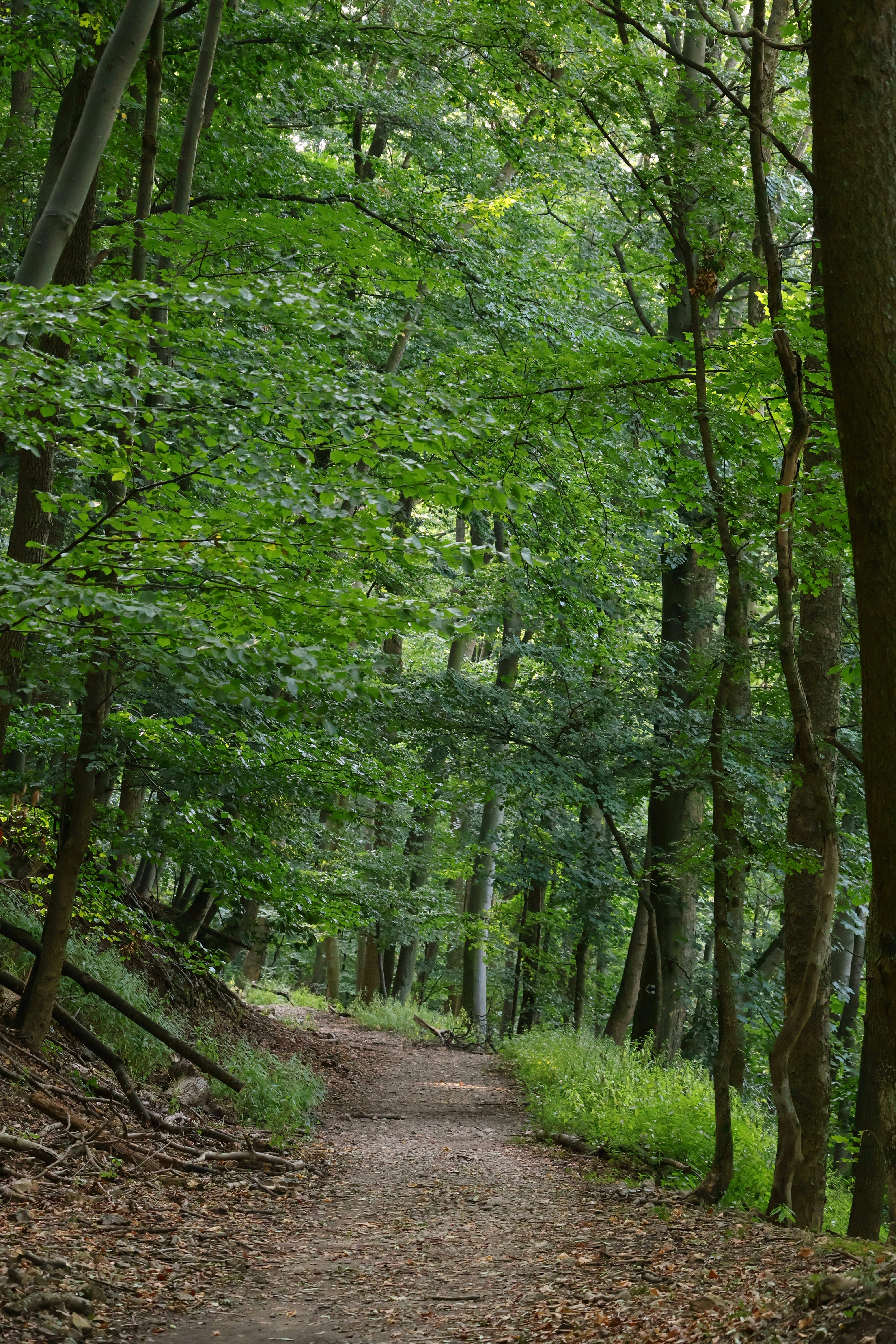 Photo by martin_lednar