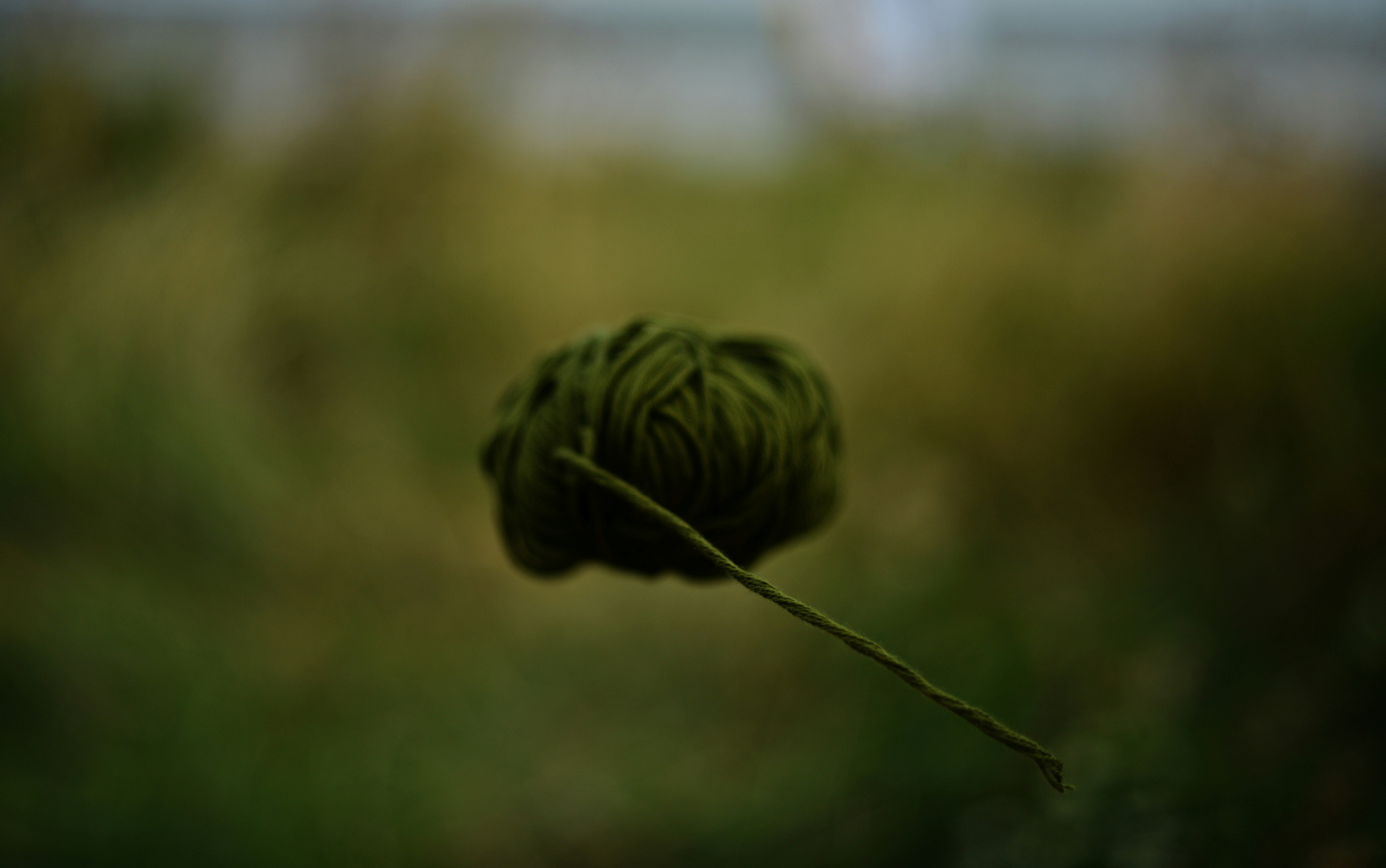 Photo by cherstve_pechivo