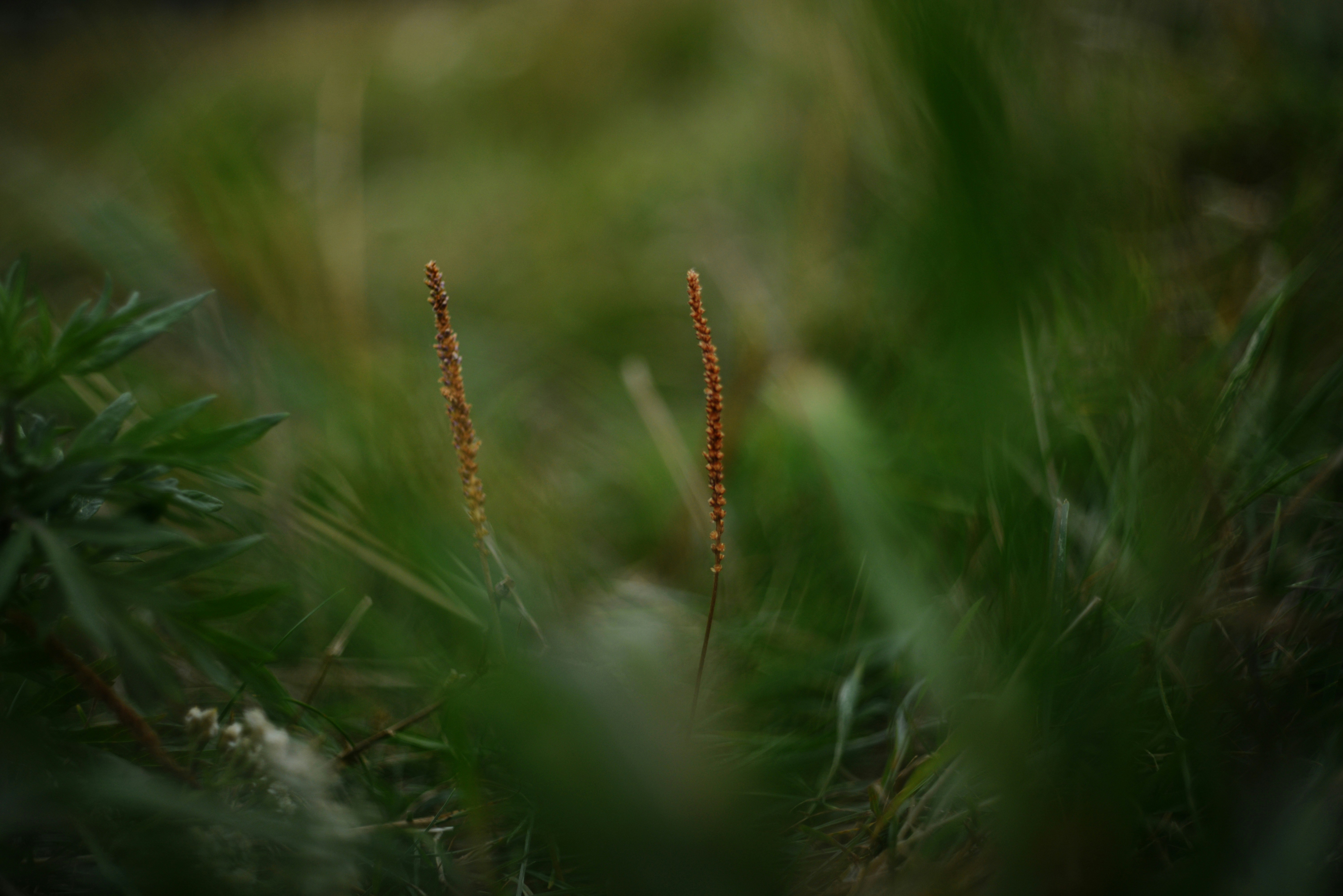 Photo by cherstve_pechivo