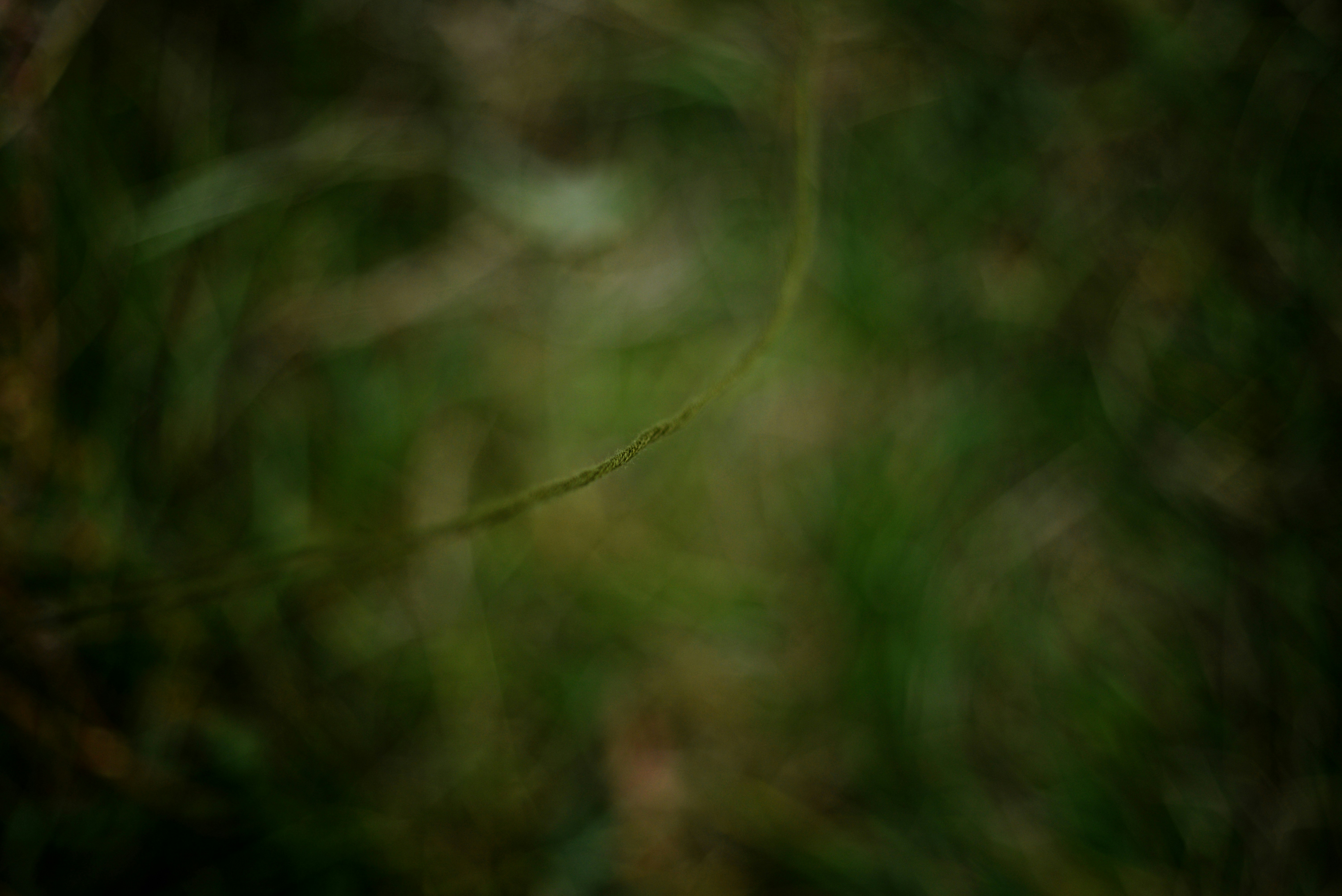 Photo by cherstve_pechivo