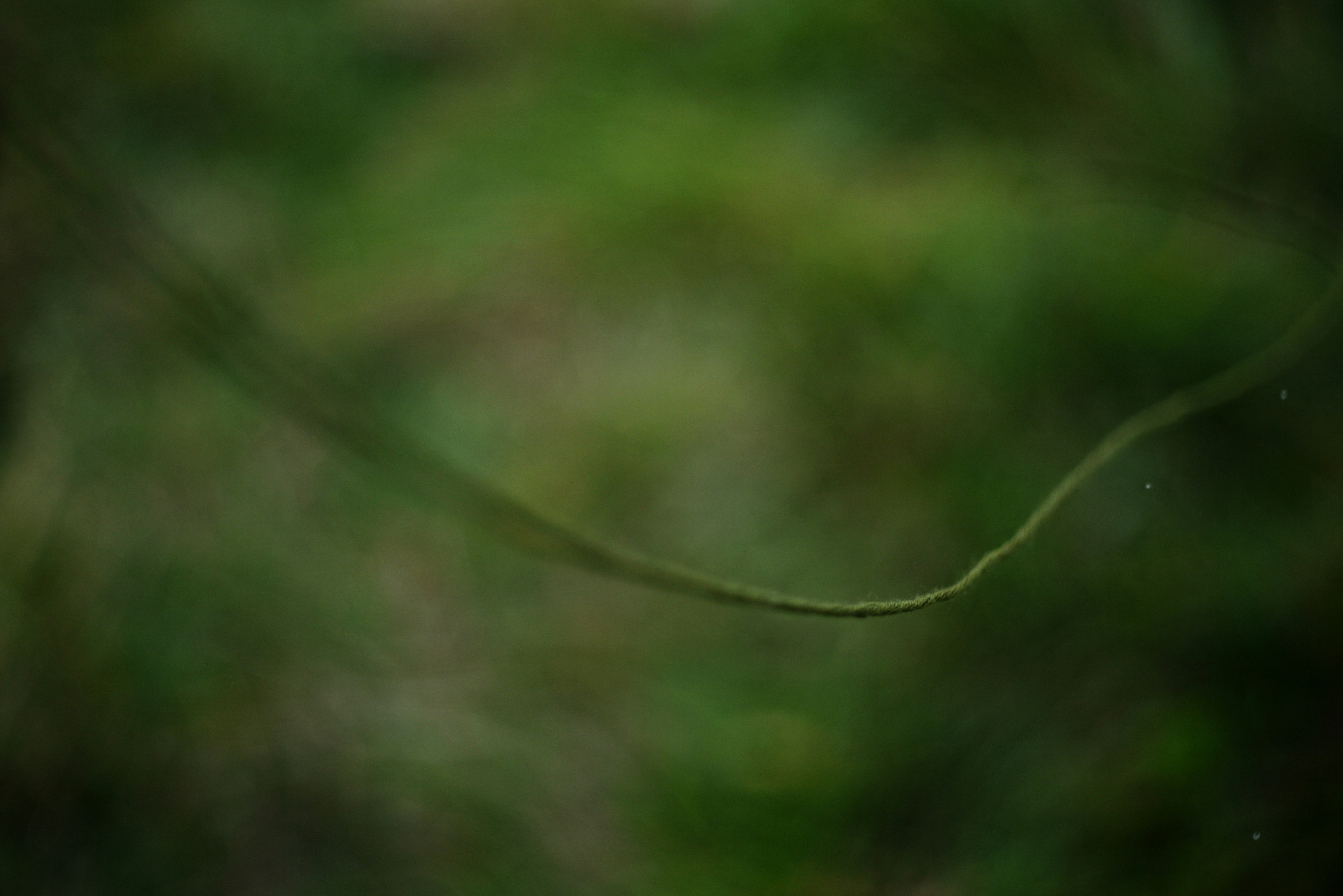 Photo by cherstve_pechivo