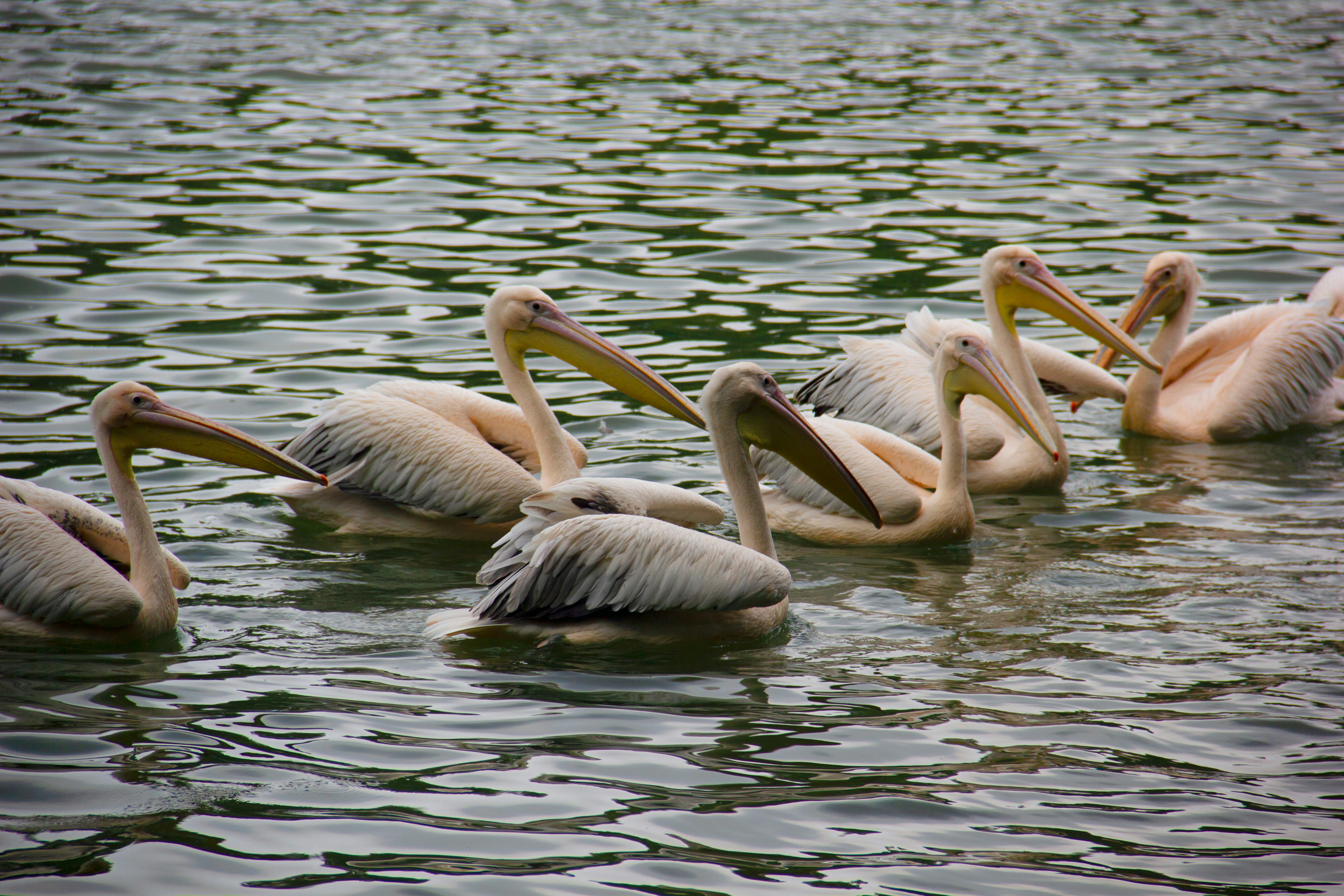 Photo by wangzuokang