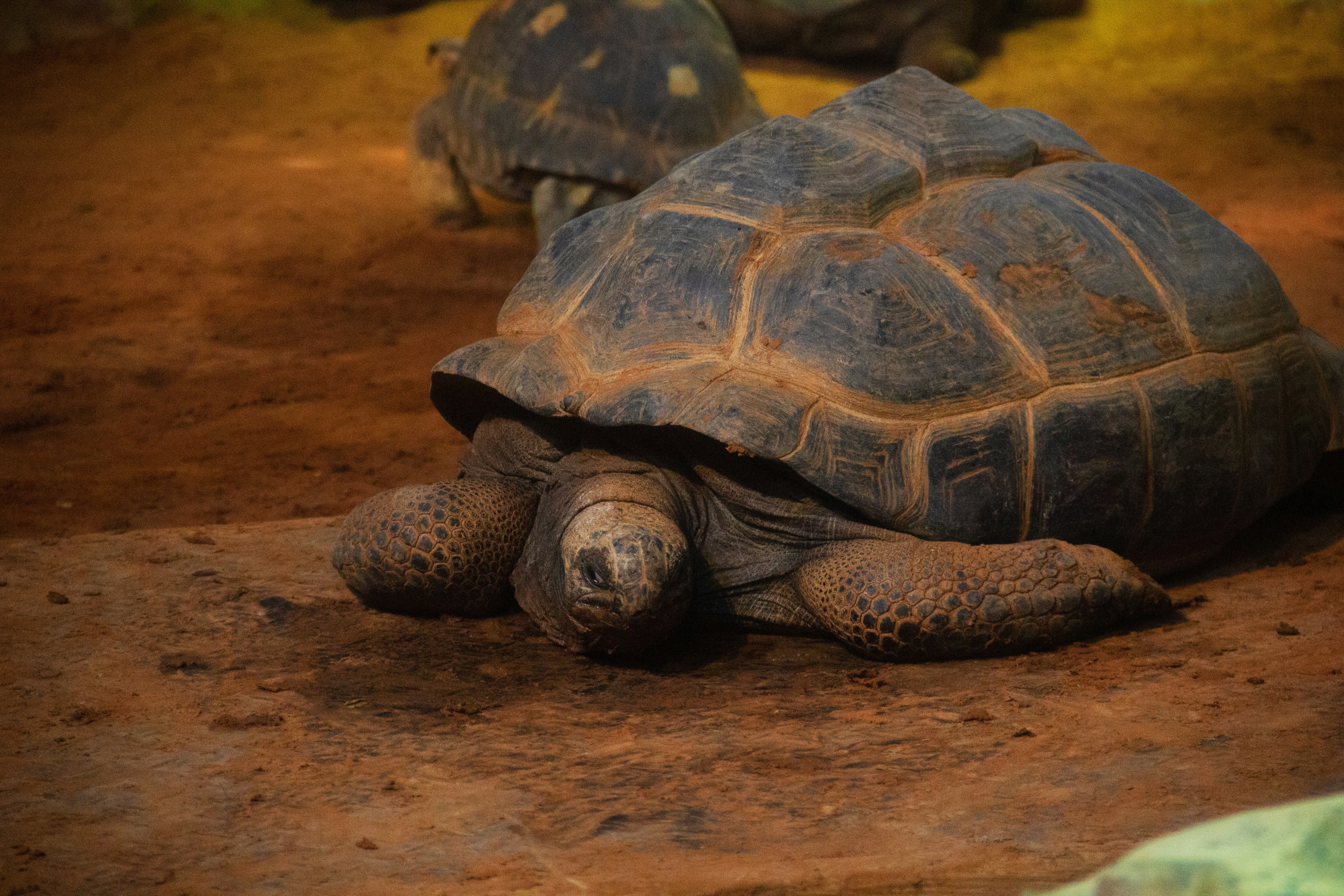 Photo by wangzuokang