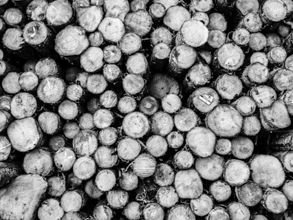 A black and white photo of a bunch of wood