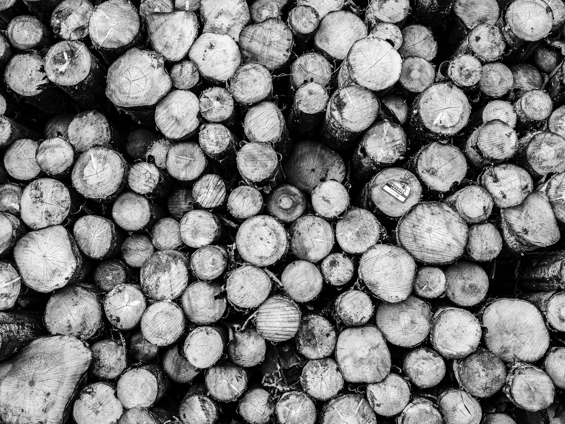 A black and white photo of a bunch of wood